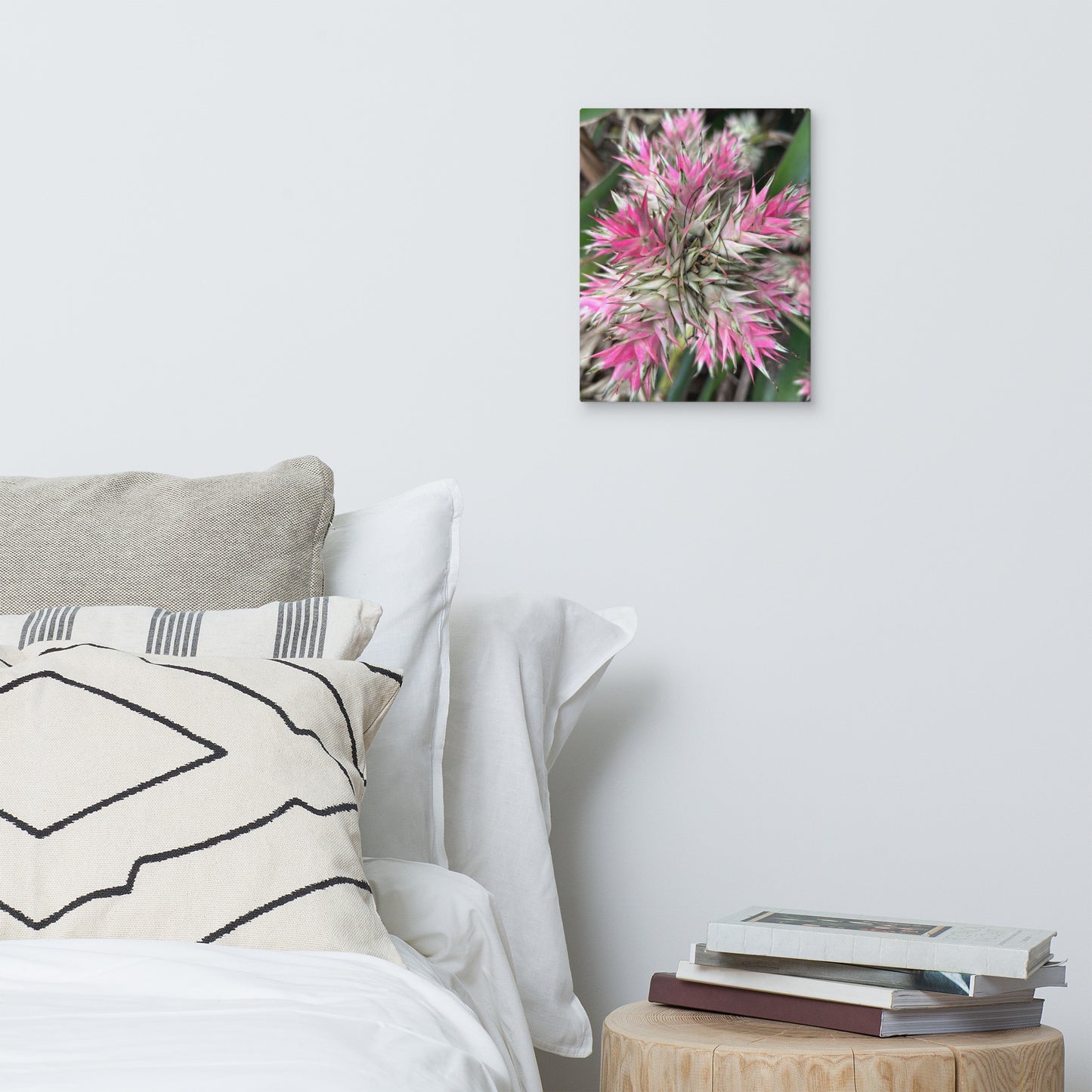 Sassy Pink Stellata - Canvas Art