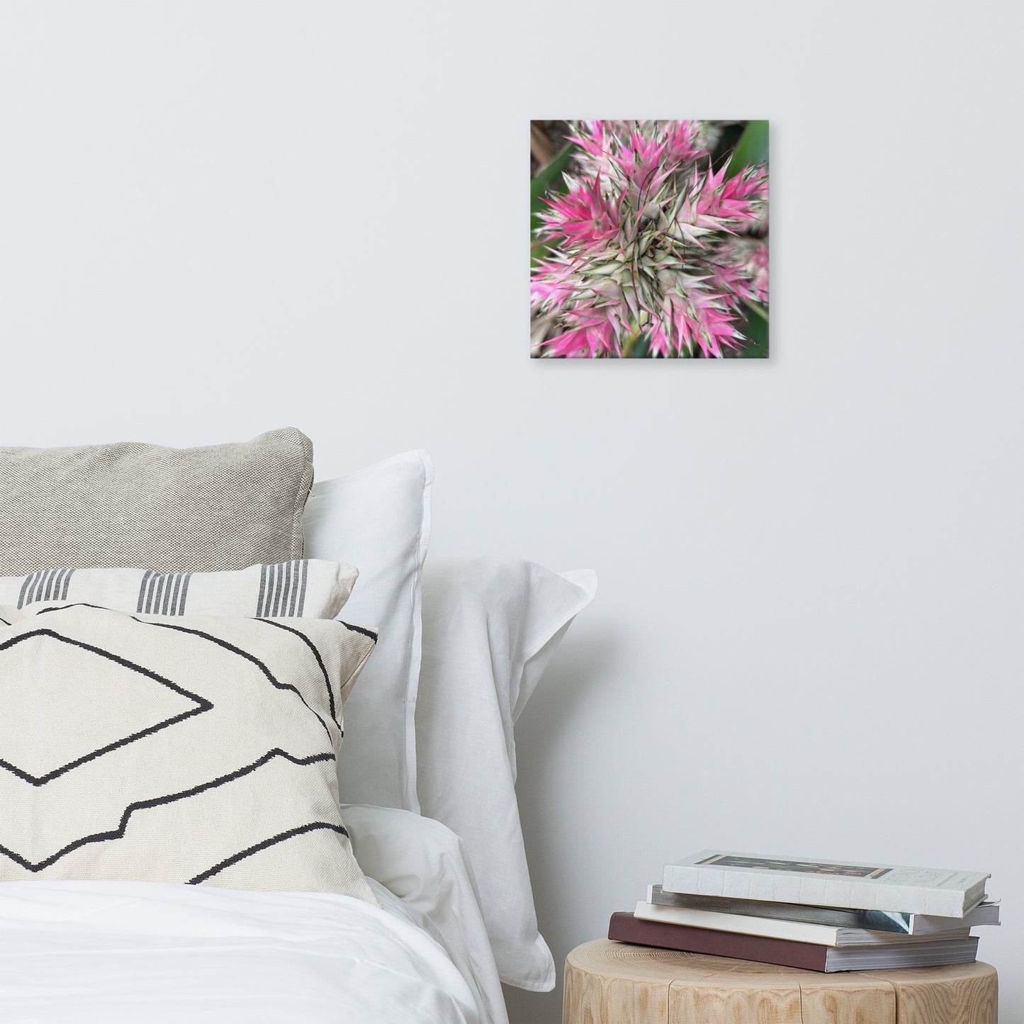 Sassy Pink Stellata - Canvas Art