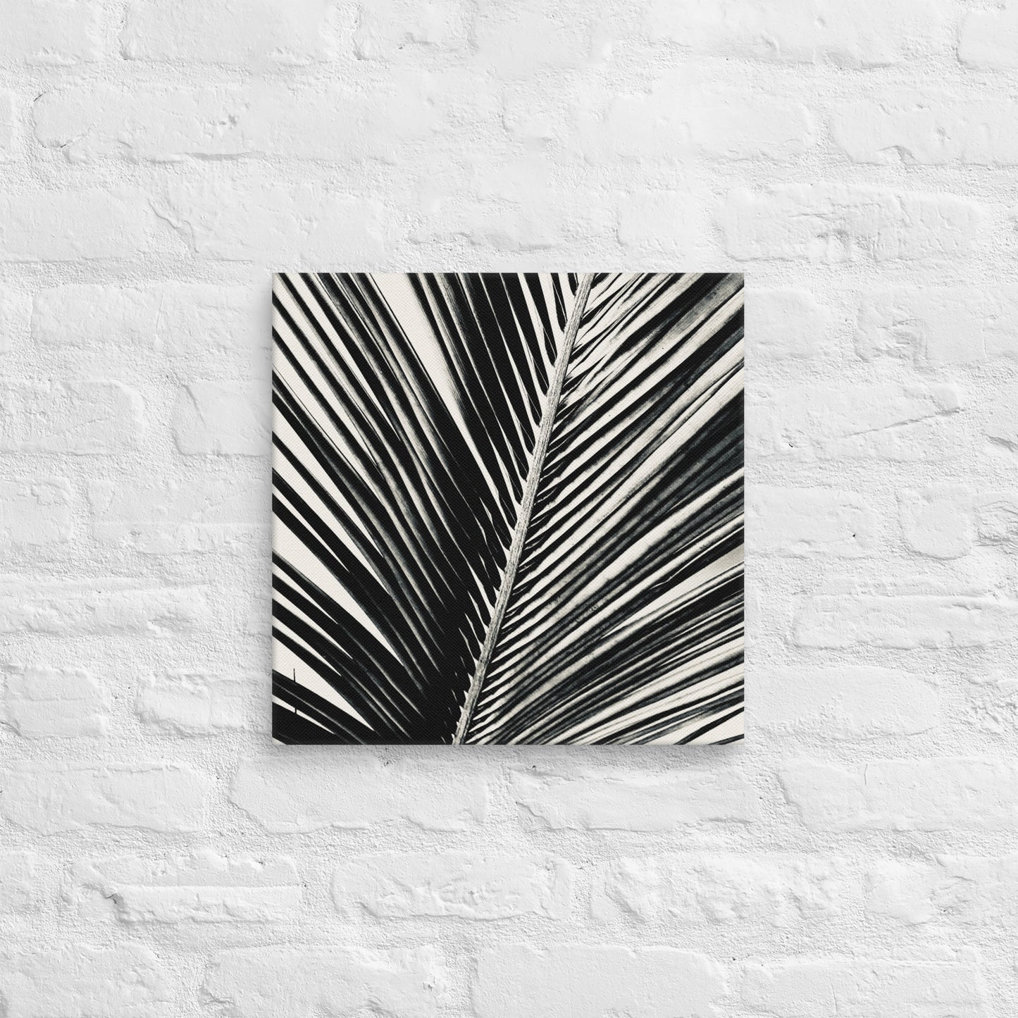 Pondering Palm - Canvas Art