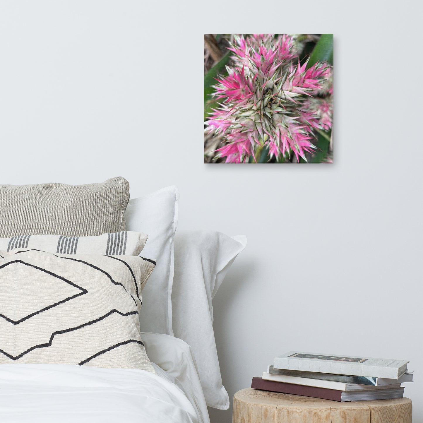 Sassy Pink Stellata - Canvas Art