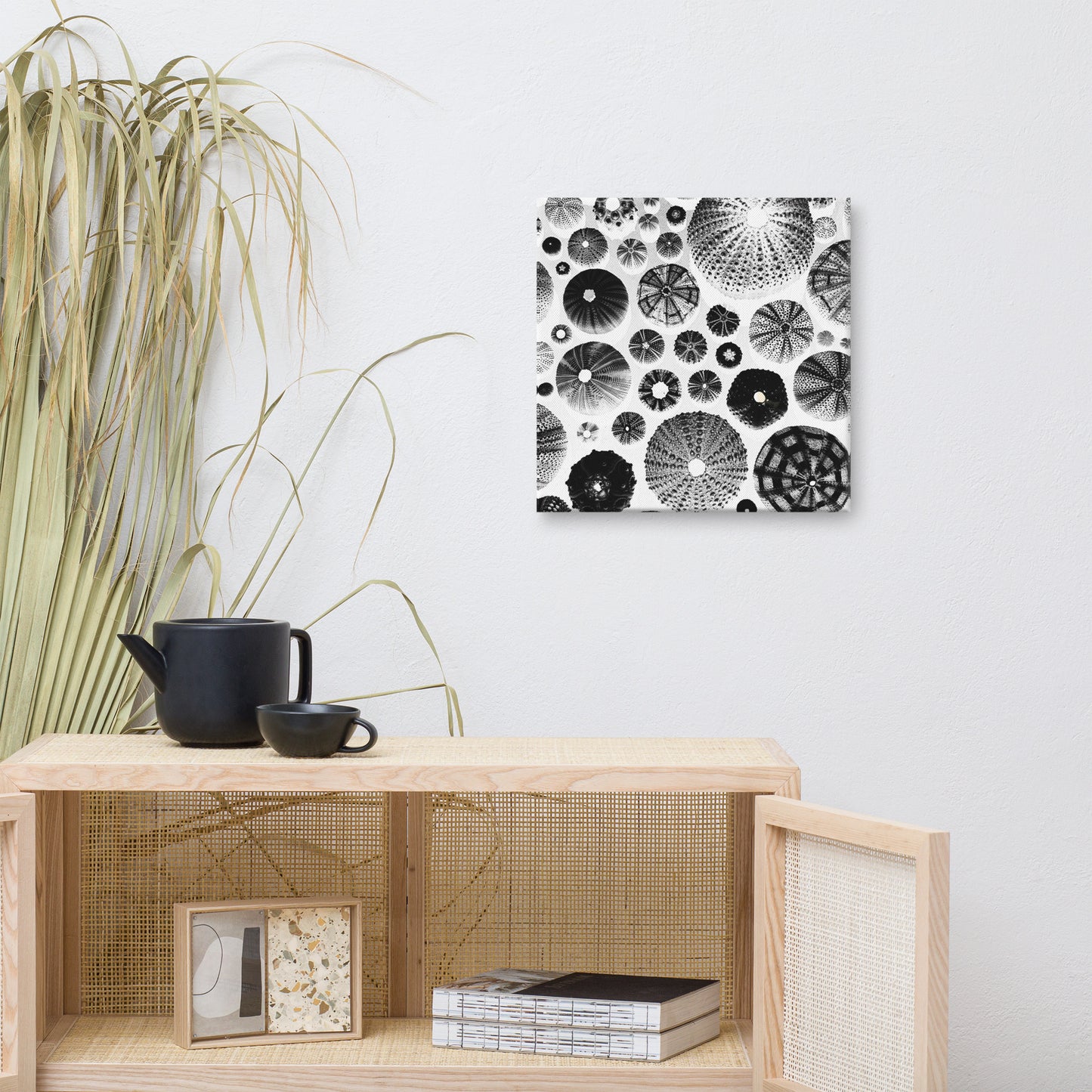 Urchin Glad You Came? - Canvas Art (White Background)