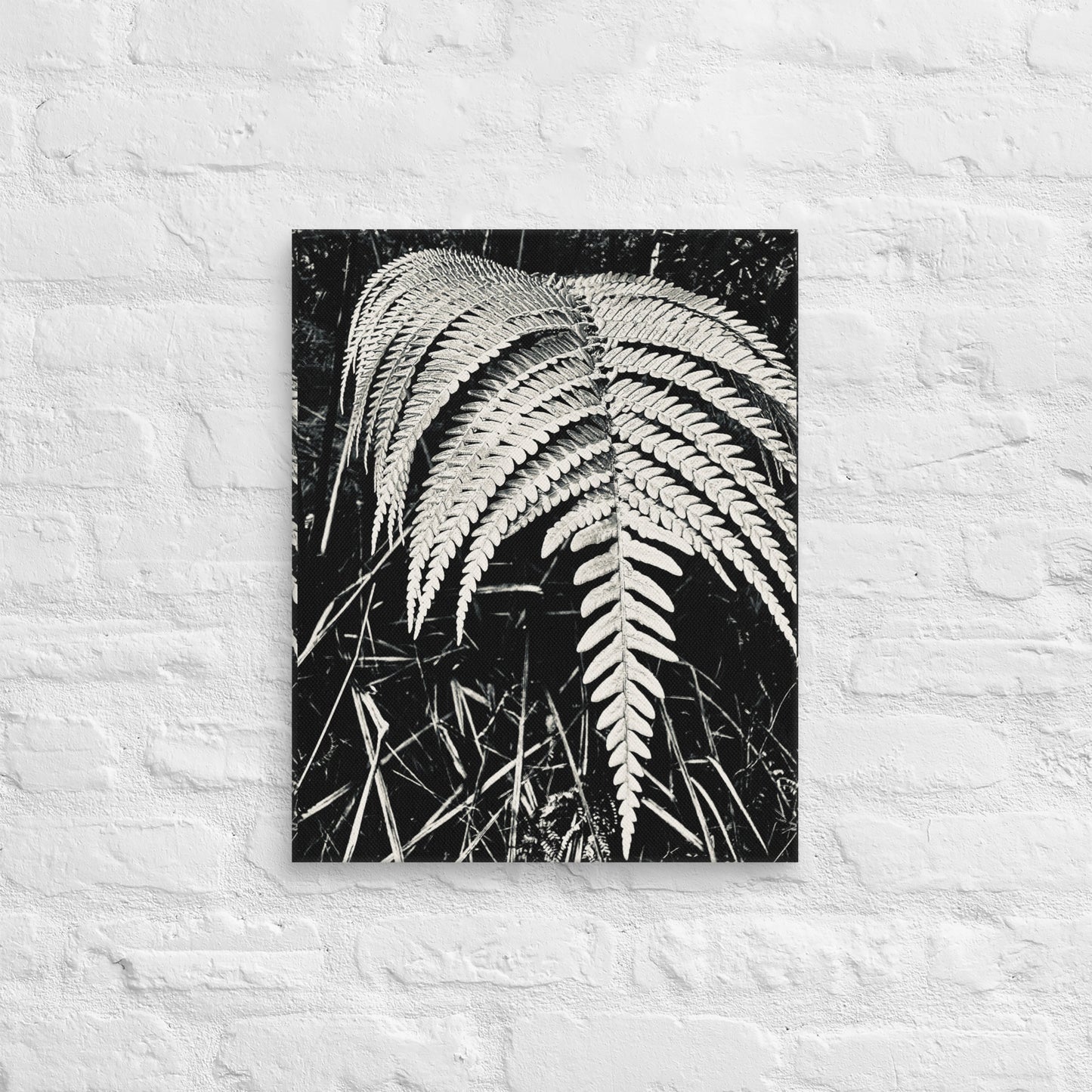 Fernology - Canvas Art
