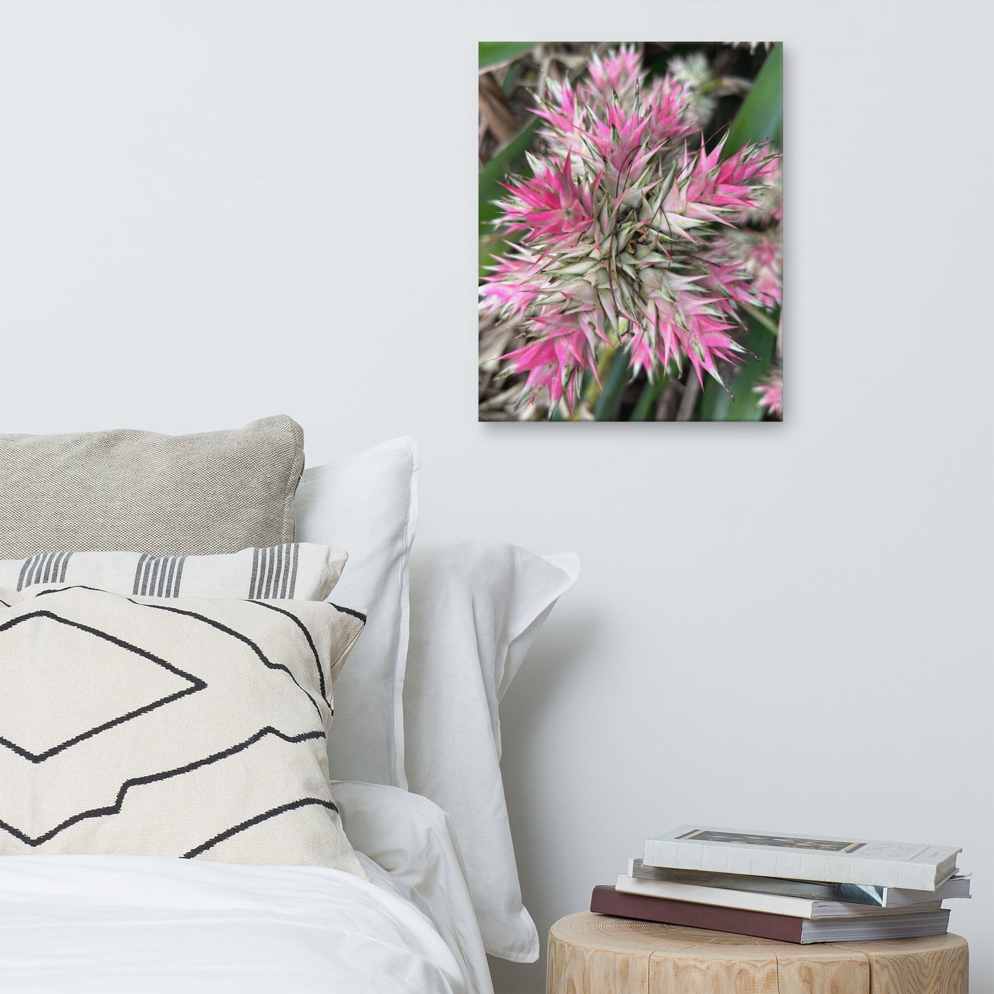 Sassy Pink Stellata - Canvas Art