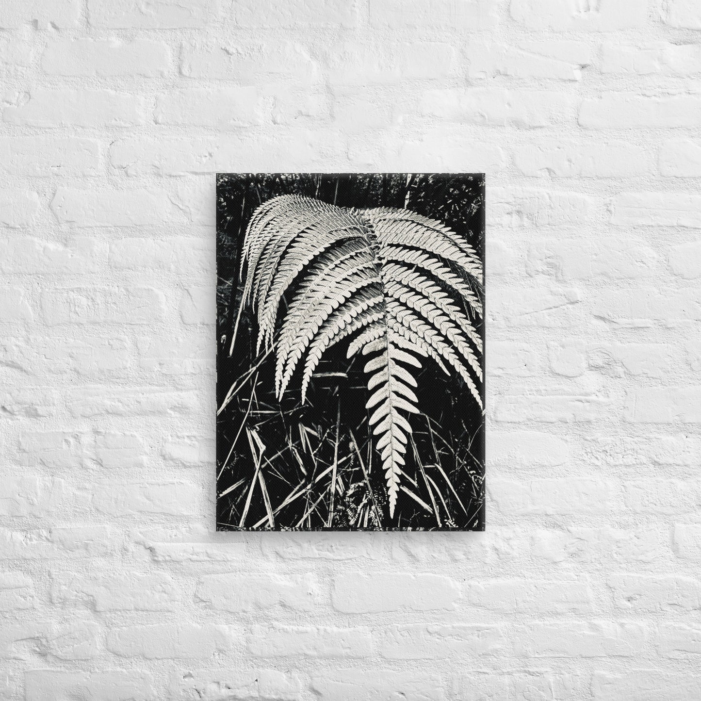 Fernology - Canvas Art