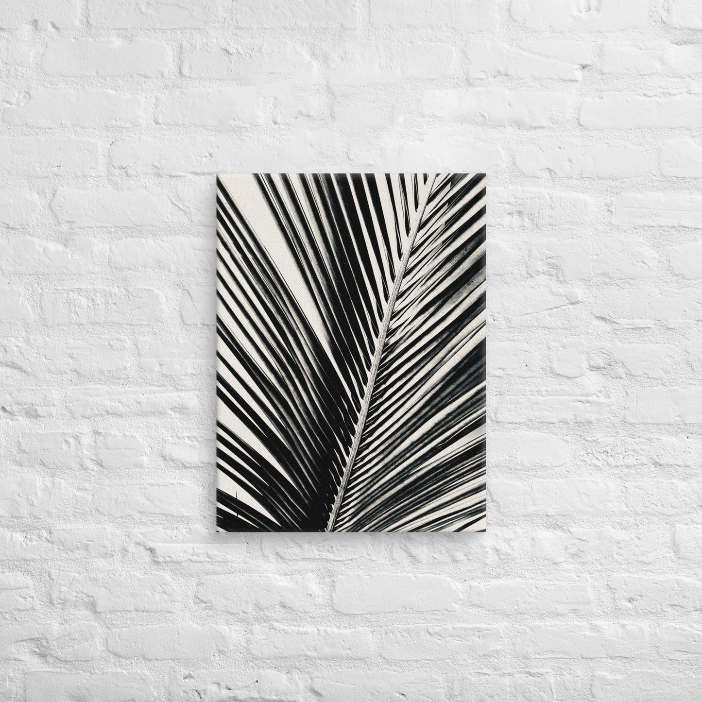 Pondering Palm - Canvas Art