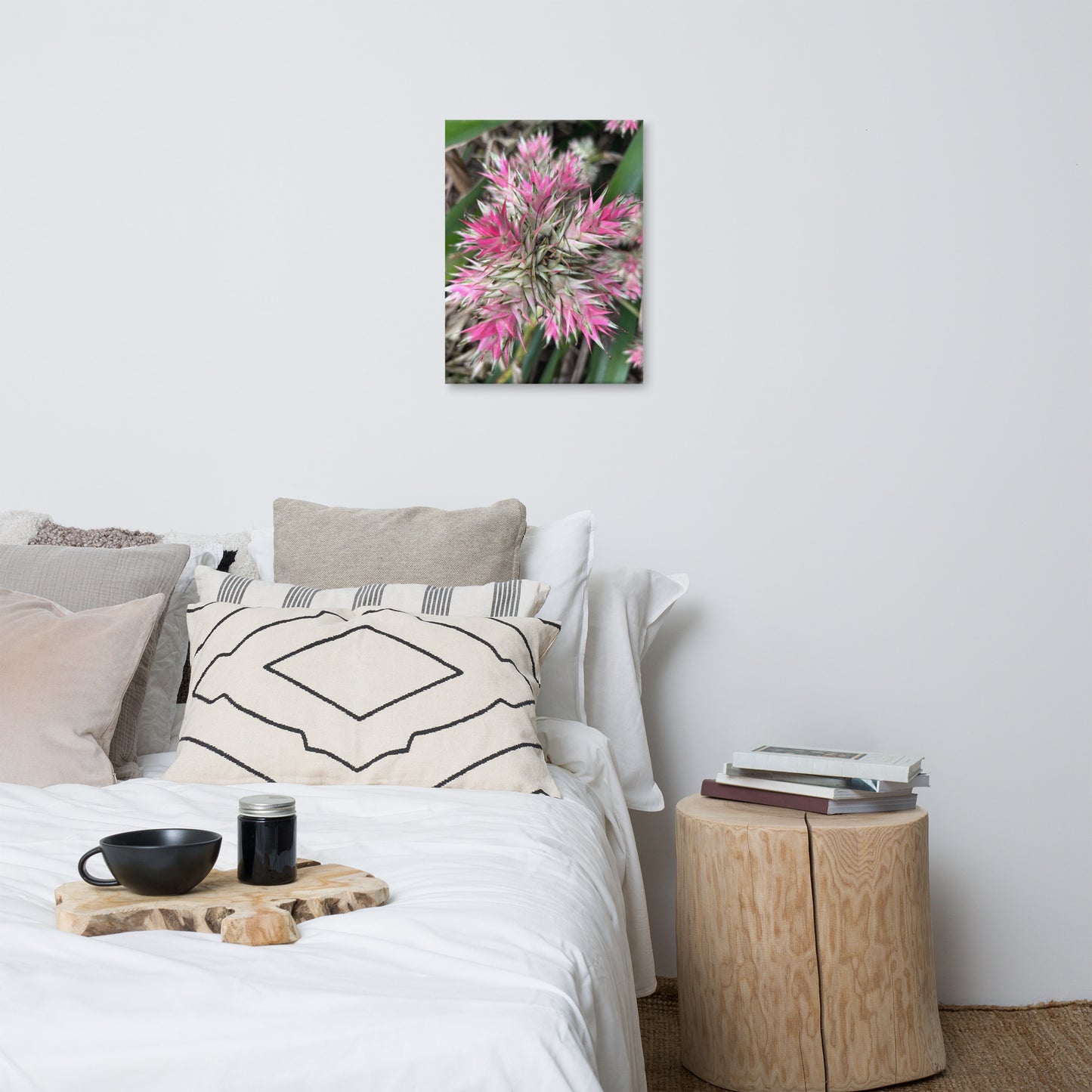 Sassy Pink Stellata - Canvas Art