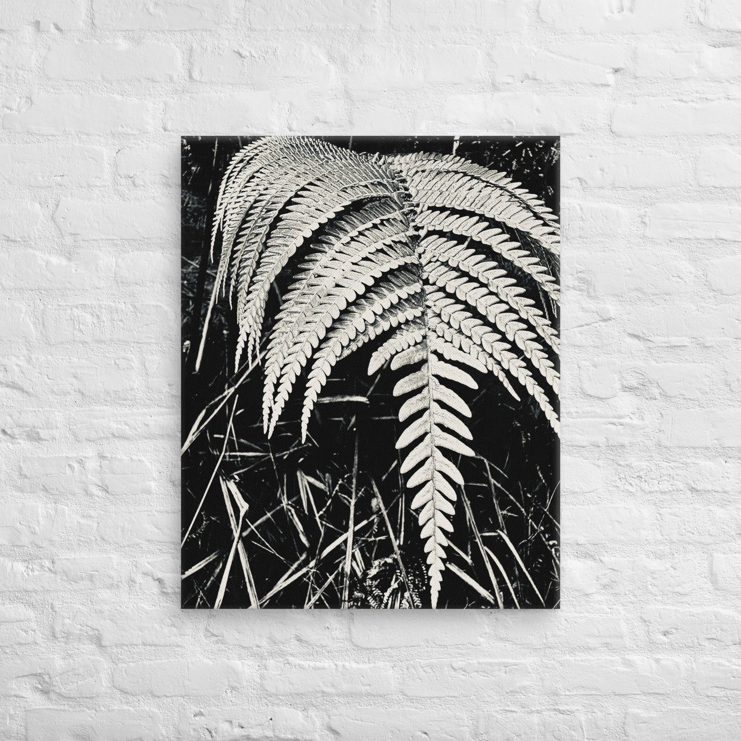 Fernology - Canvas Art
