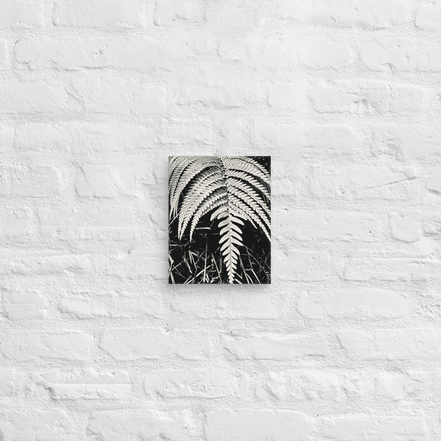 Fernology - Canvas Art