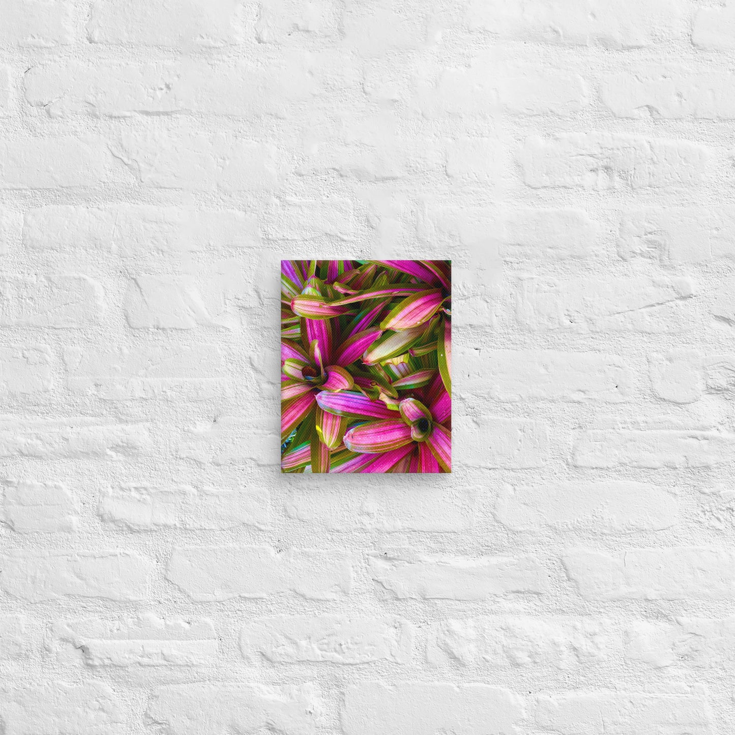 Caladium Fiesta - Canvas Art