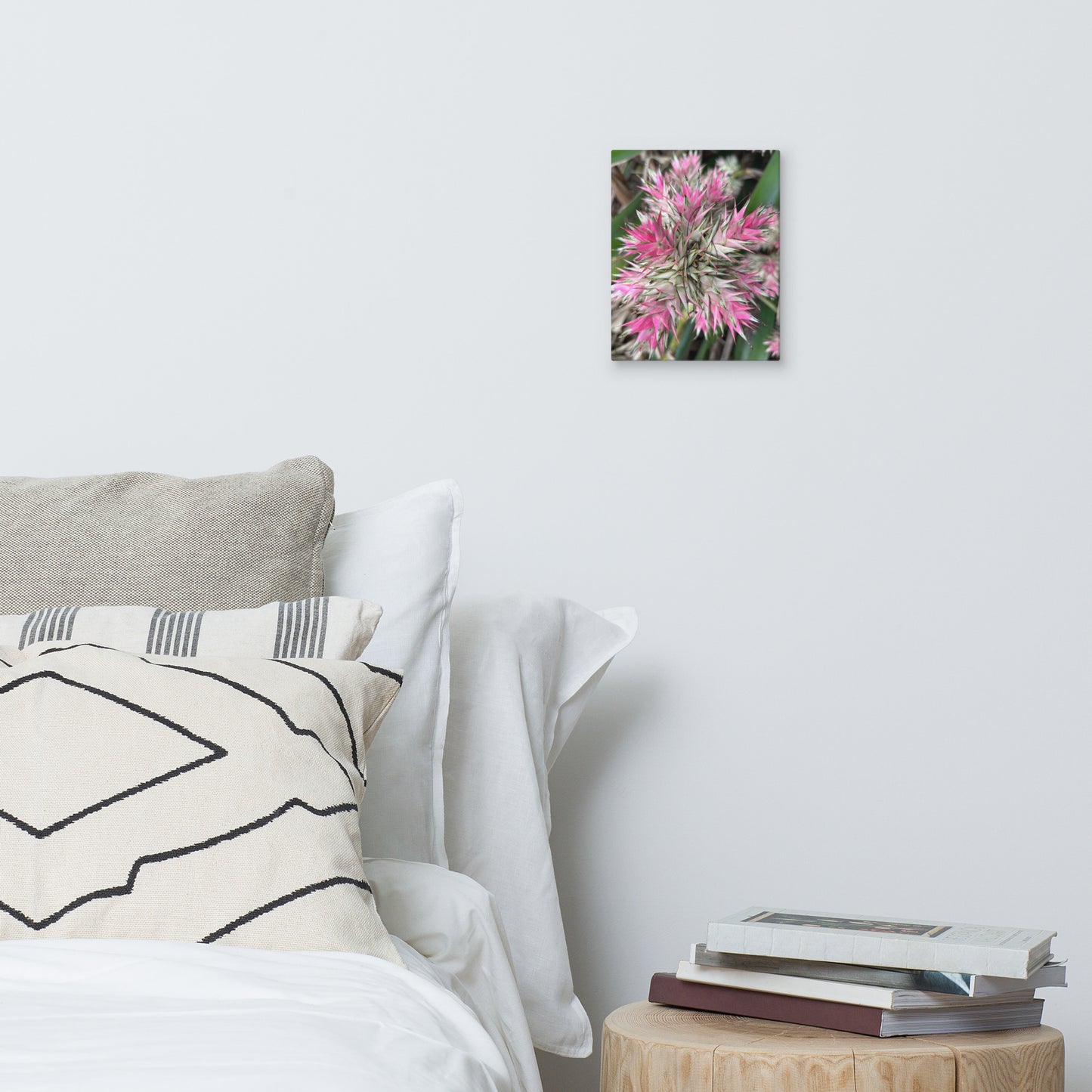 Sassy Pink Stellata - Canvas Art
