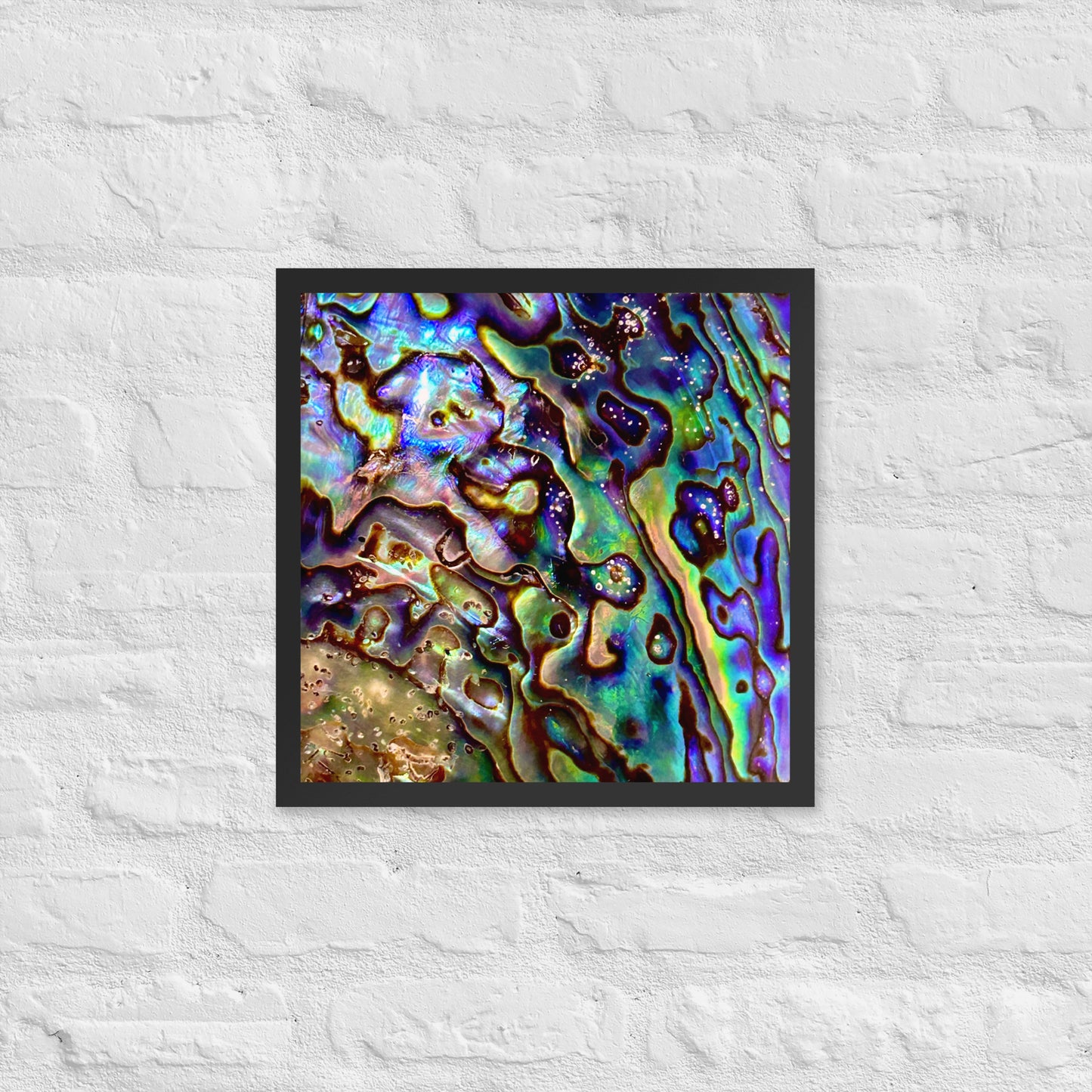 Abalone Dream - Framed Print