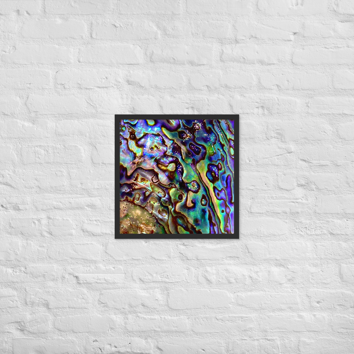 Abalone Dream - Framed Print