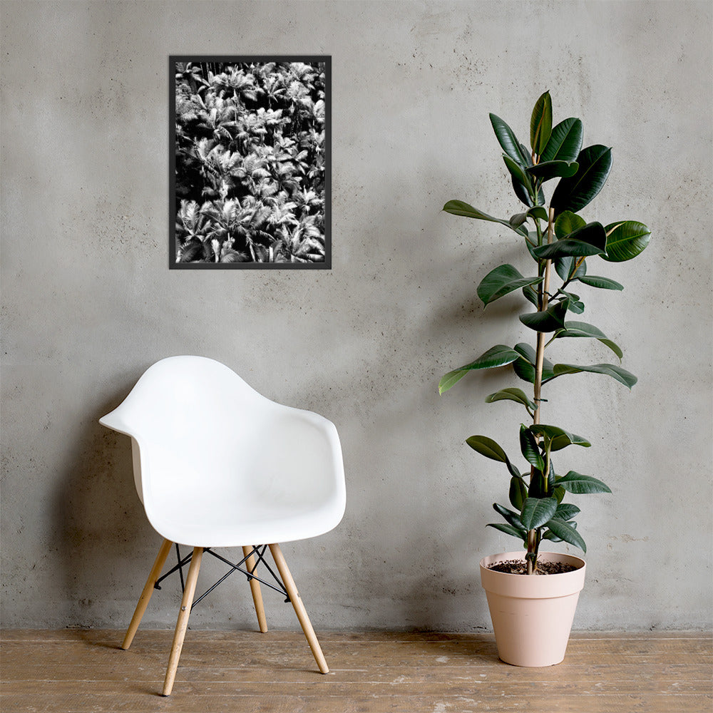 Palm Paradise - Framed Art