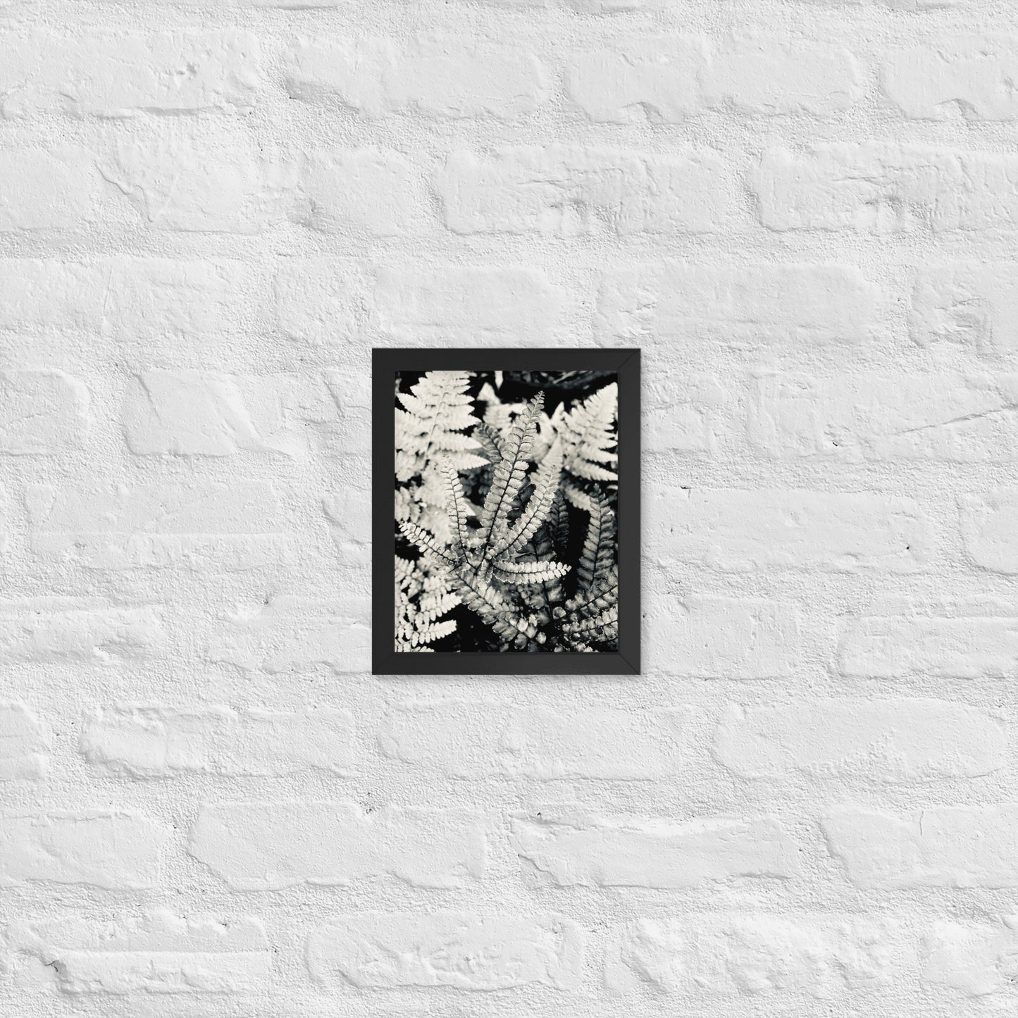 Volcano Fern - Framed Art