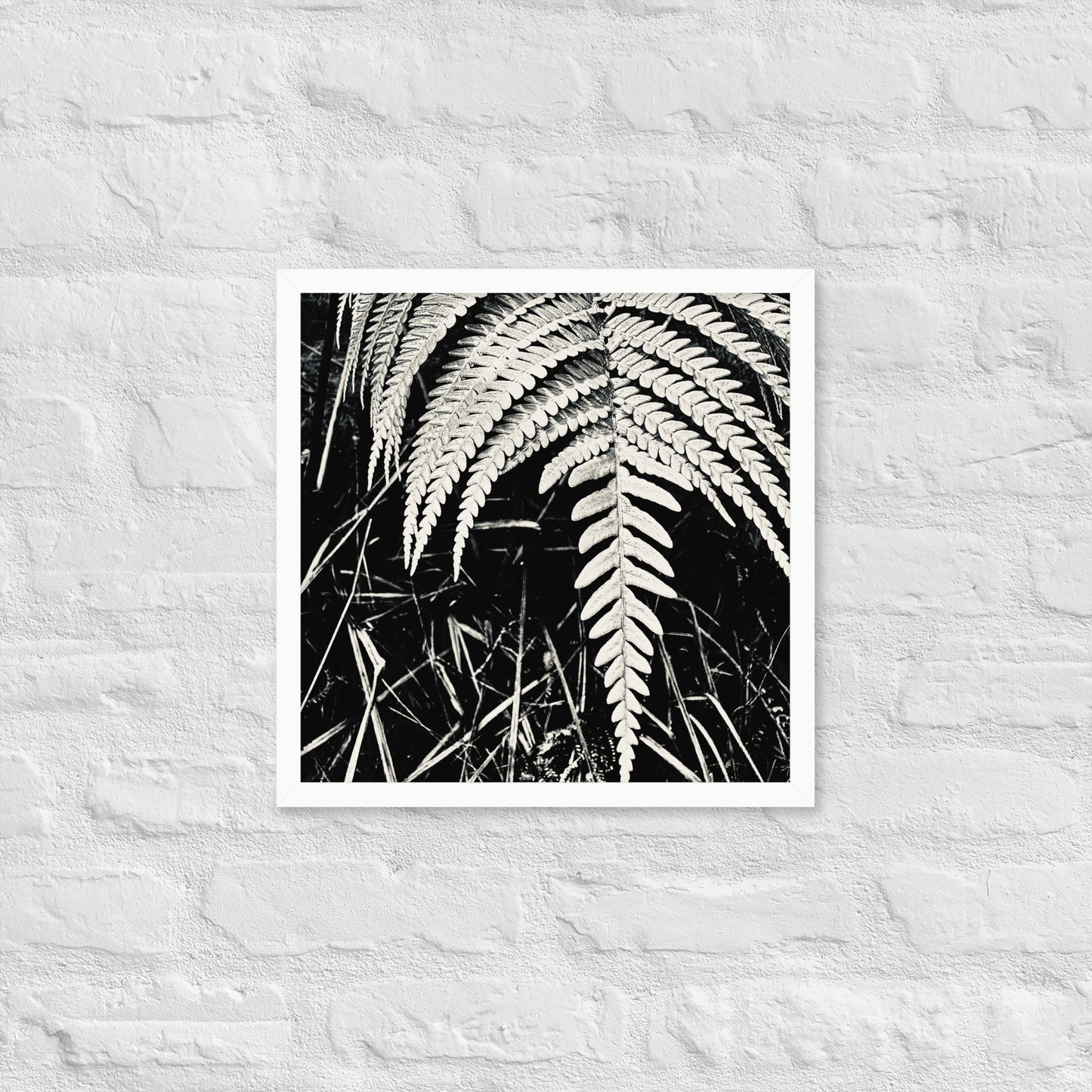 Fernology - Framed Art