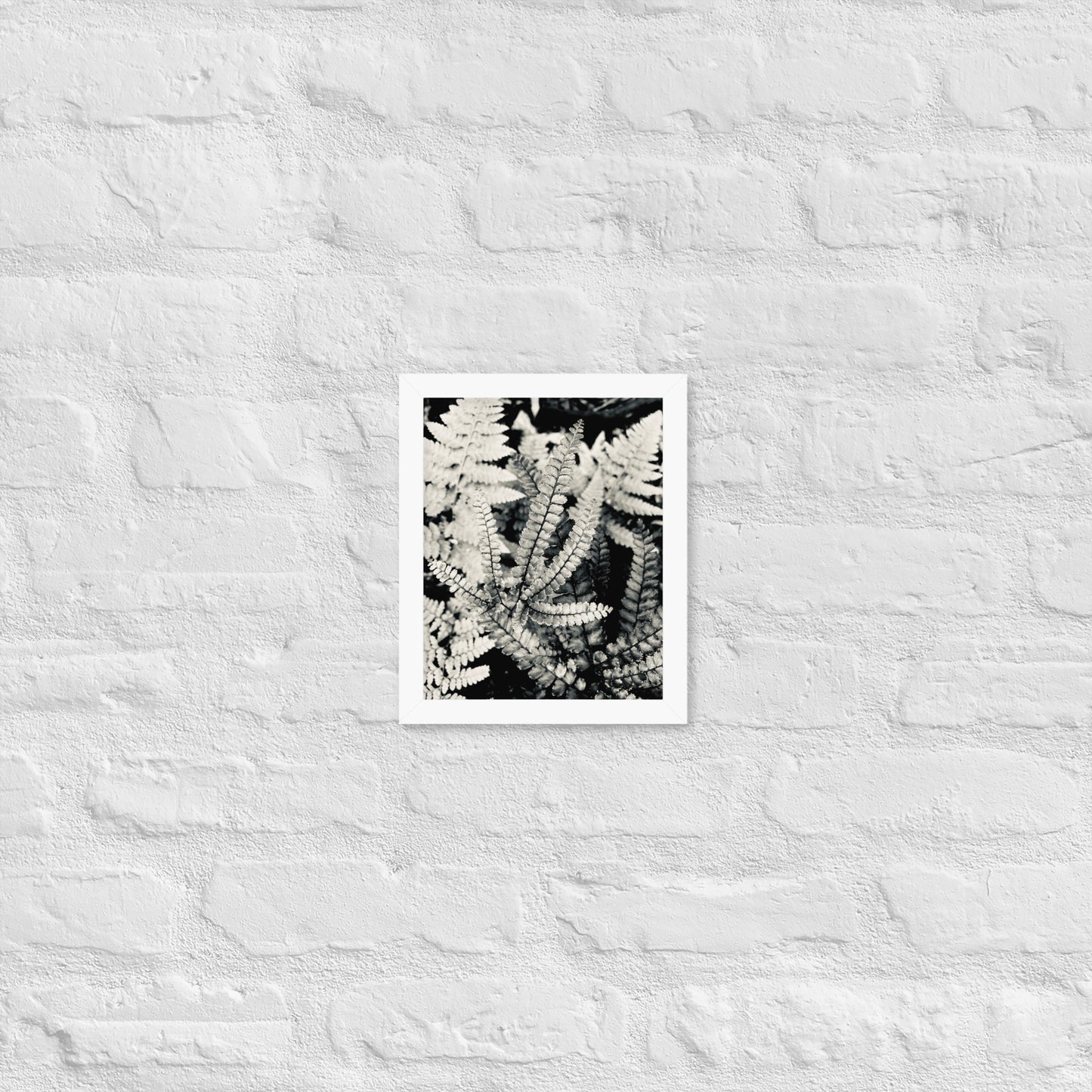Volcano Fern - Framed Art