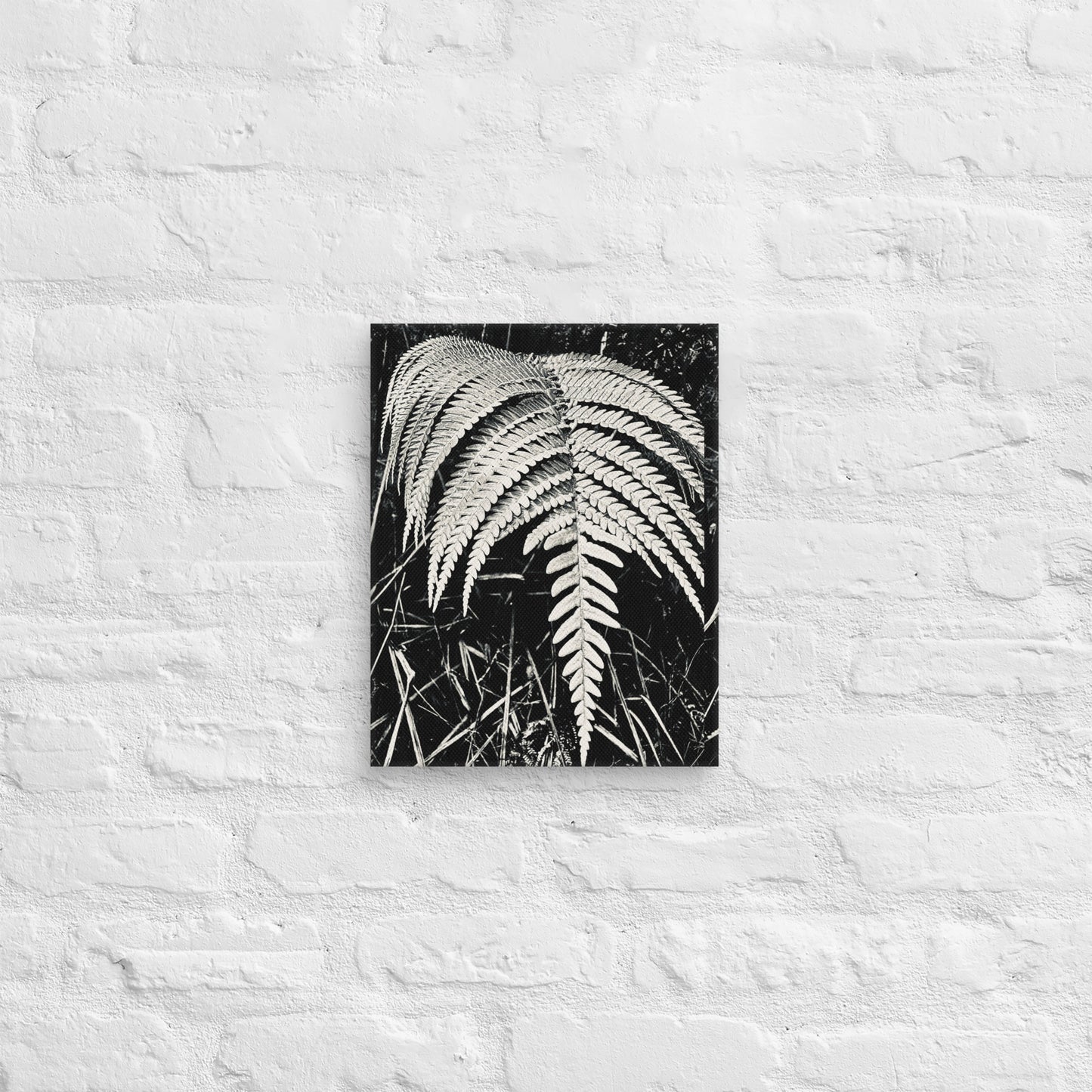 Fernology - Canvas Art