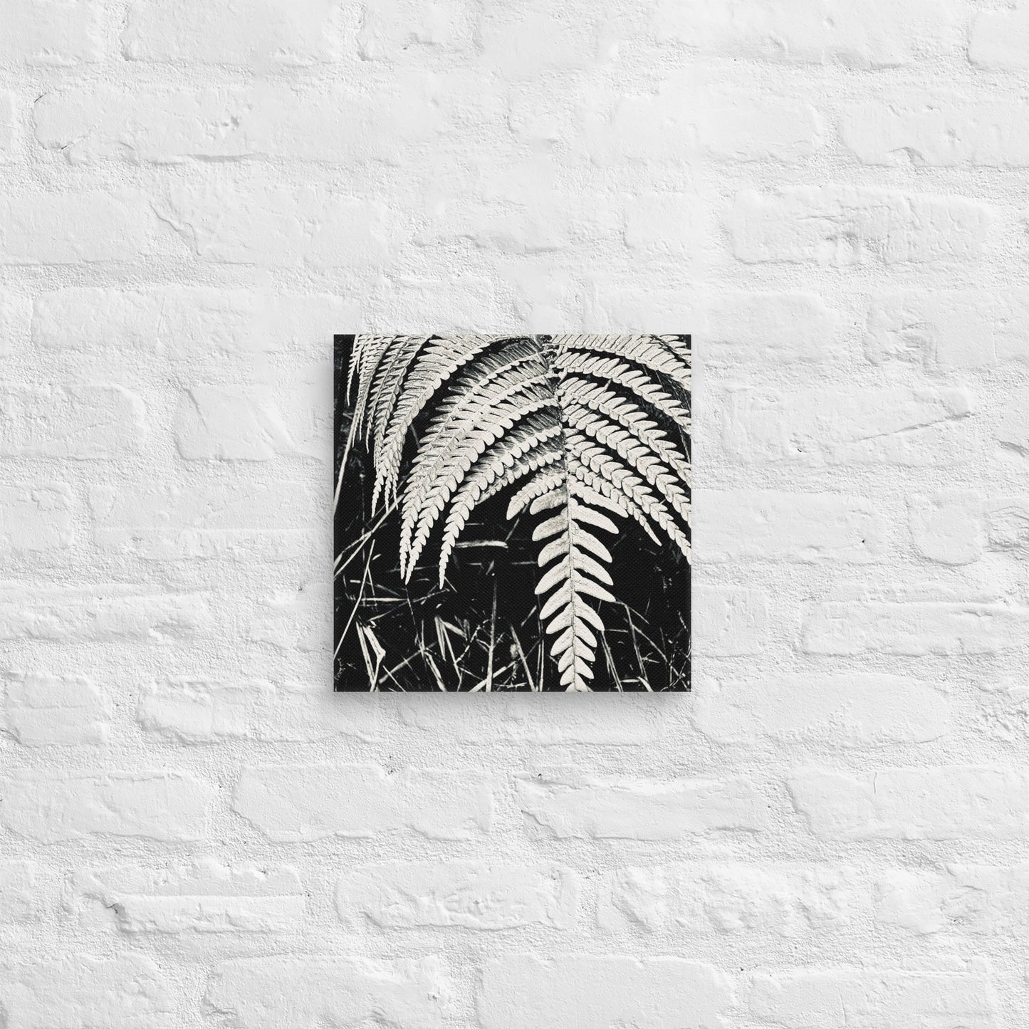 Fernology - Canvas Art