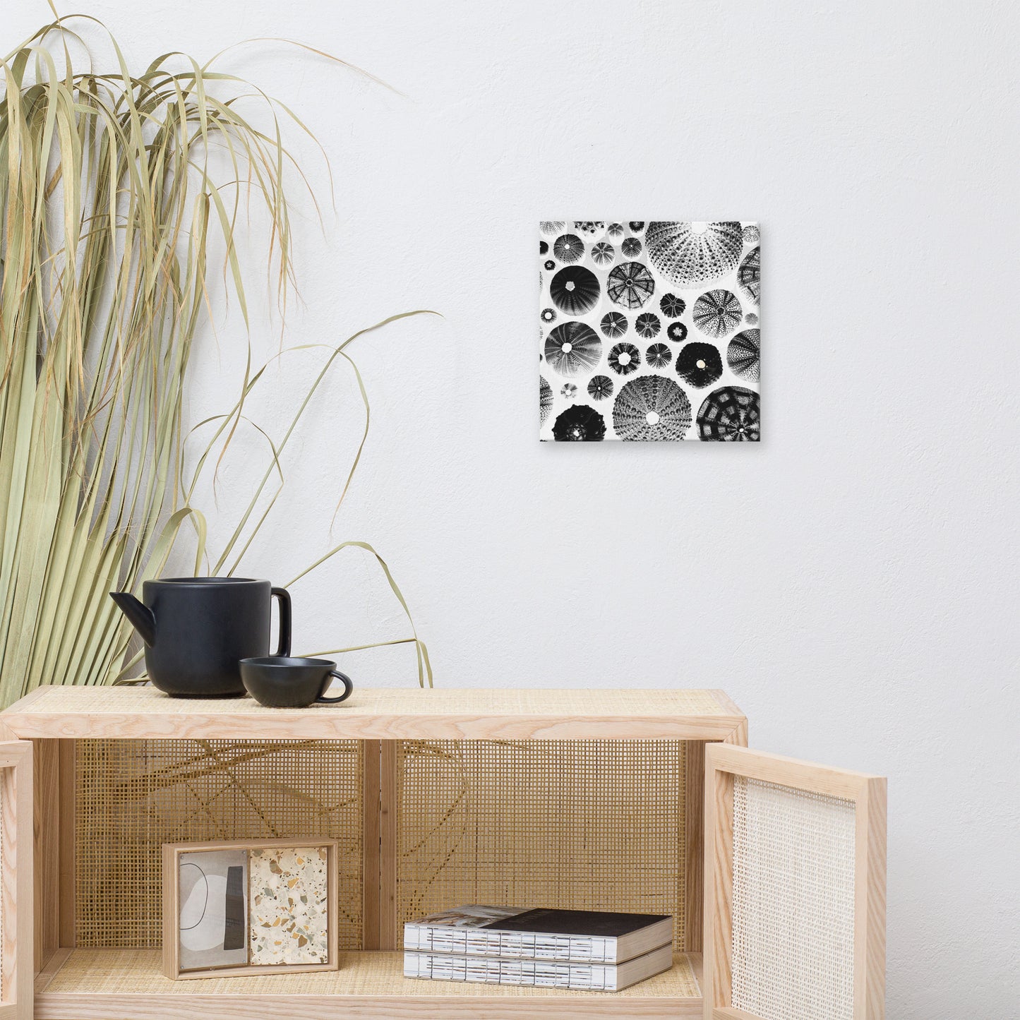 Urchin Glad You Came? - Canvas Art (White Background)