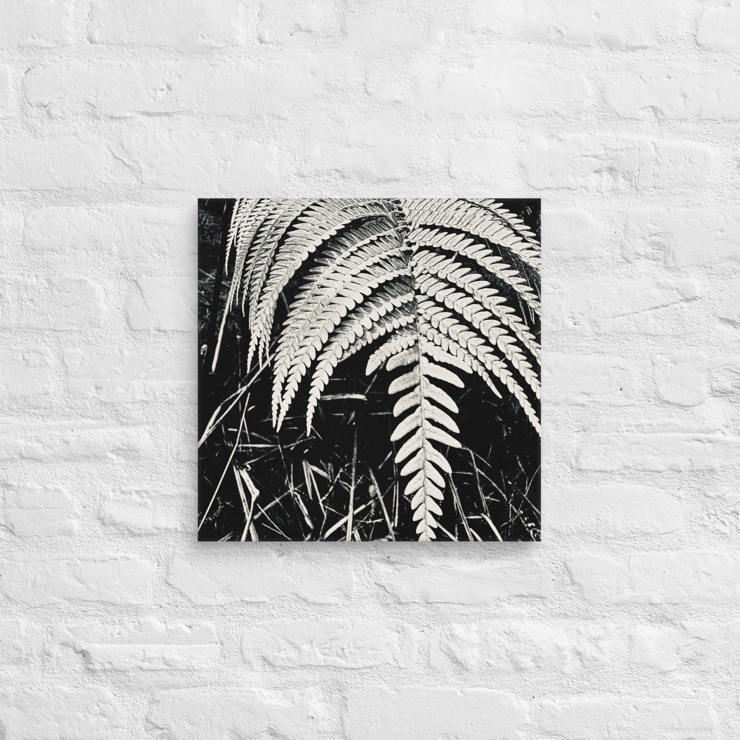 Fernology - Canvas Art