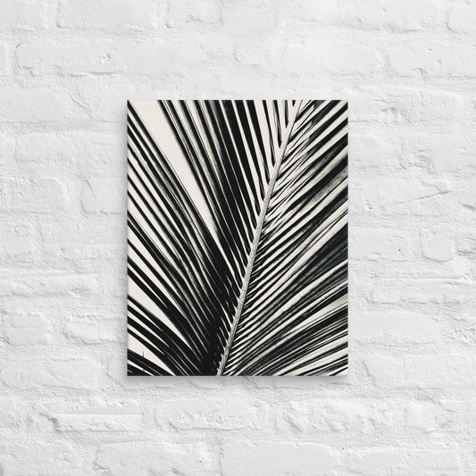 Pondering Palm - Canvas Art