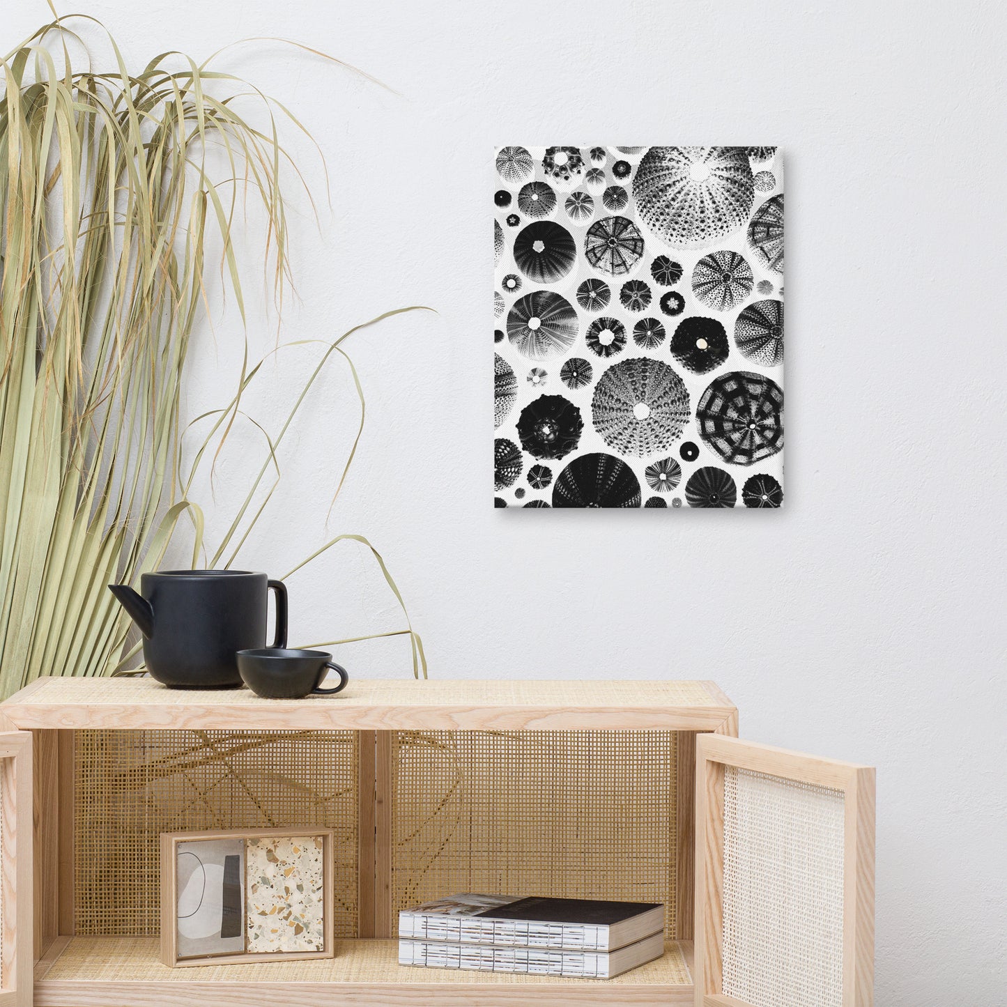 Urchin Glad You Came? - Canvas Art (White Background)