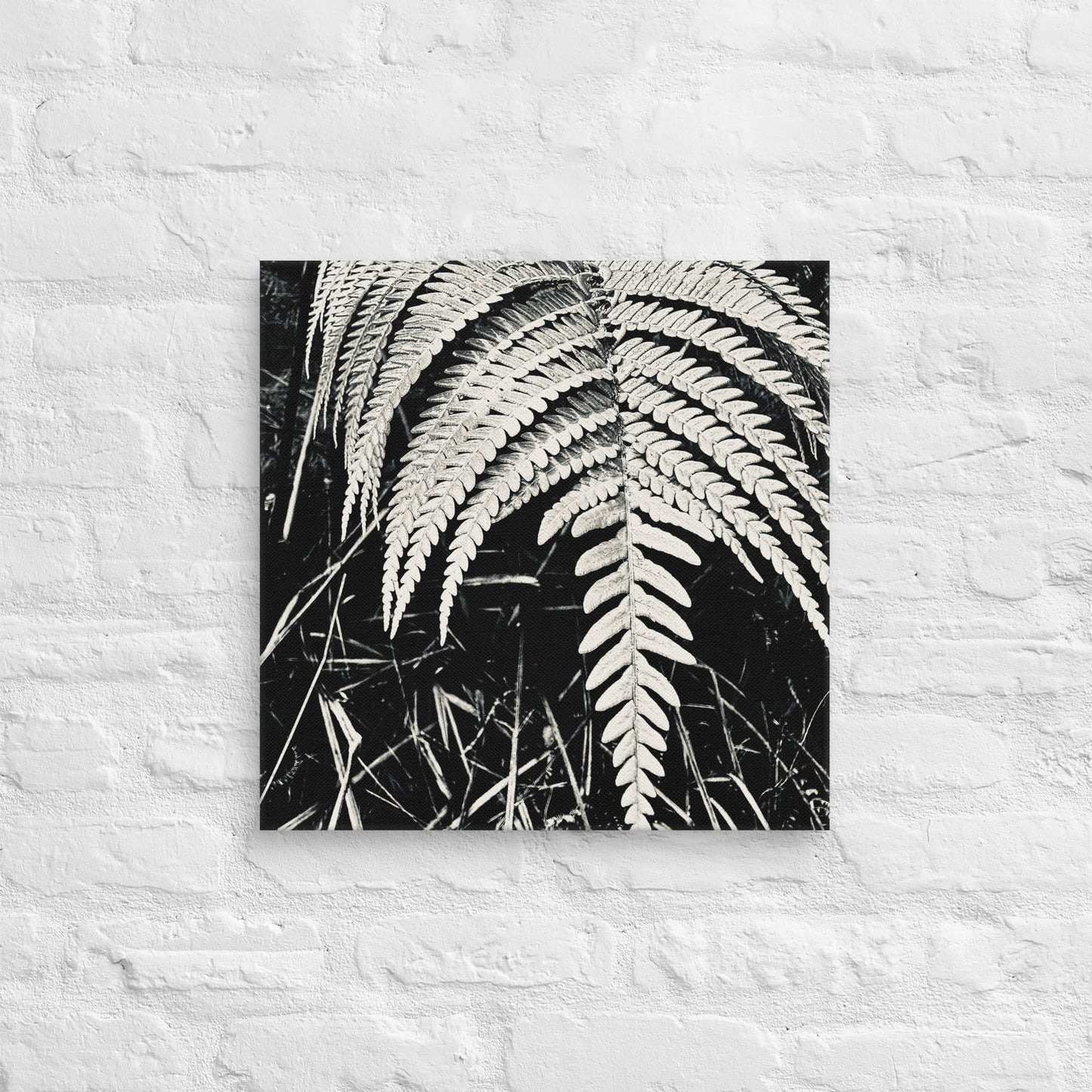 Fernology - Canvas Art