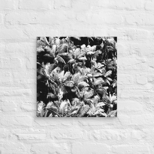 Palm Paradise - Canvas Art