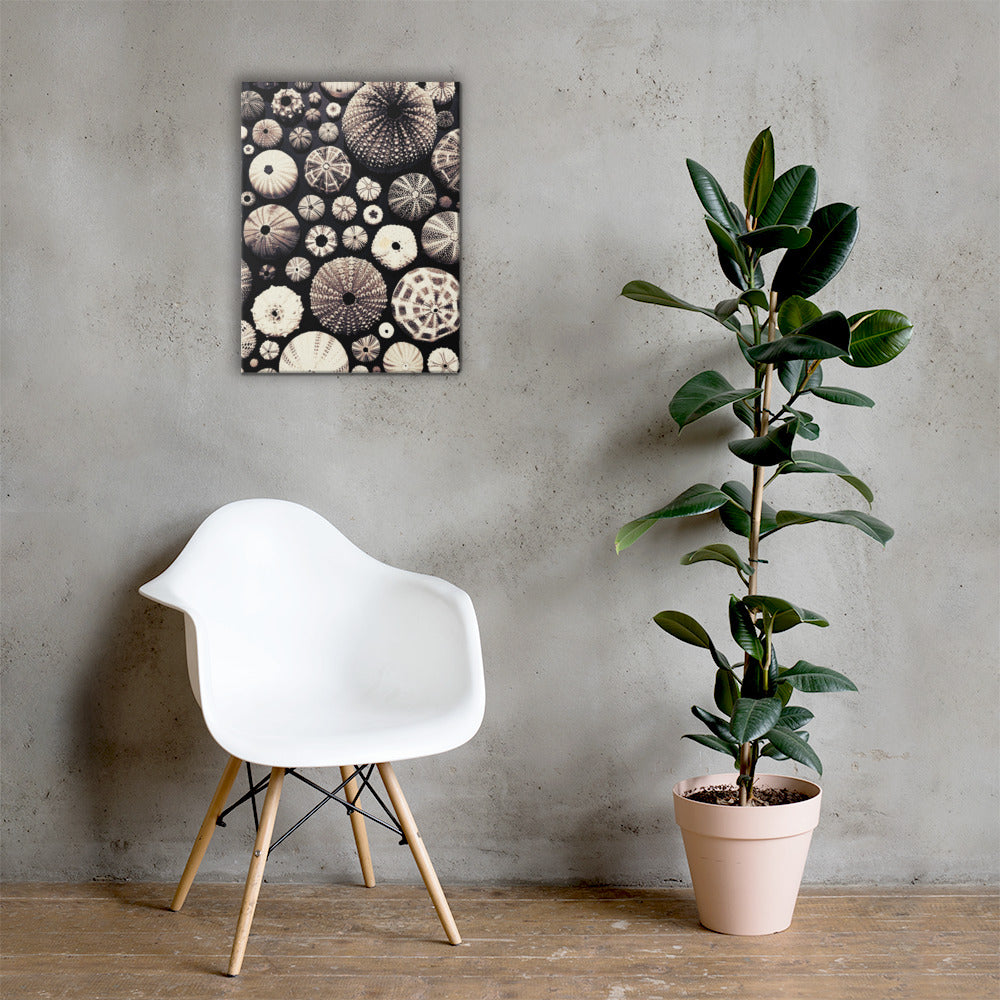 Urchin Glad You Came? - Canvas Art (Black Background)