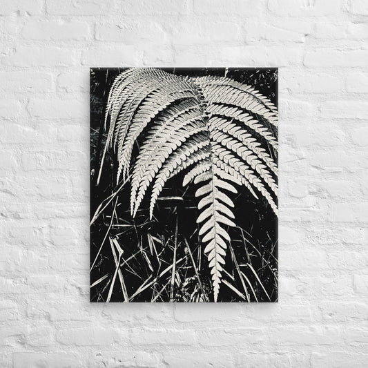 Fernology - Canvas Art
