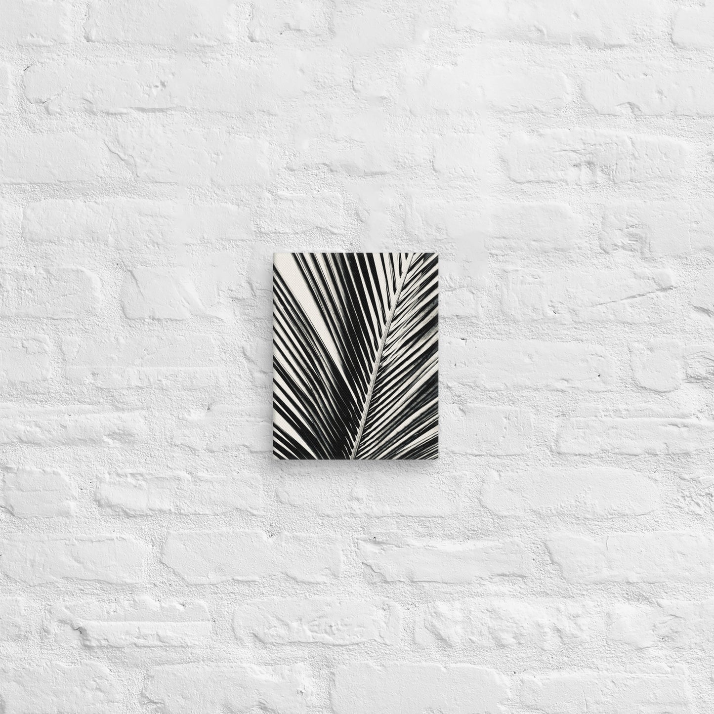 Pondering Palm - Canvas Art