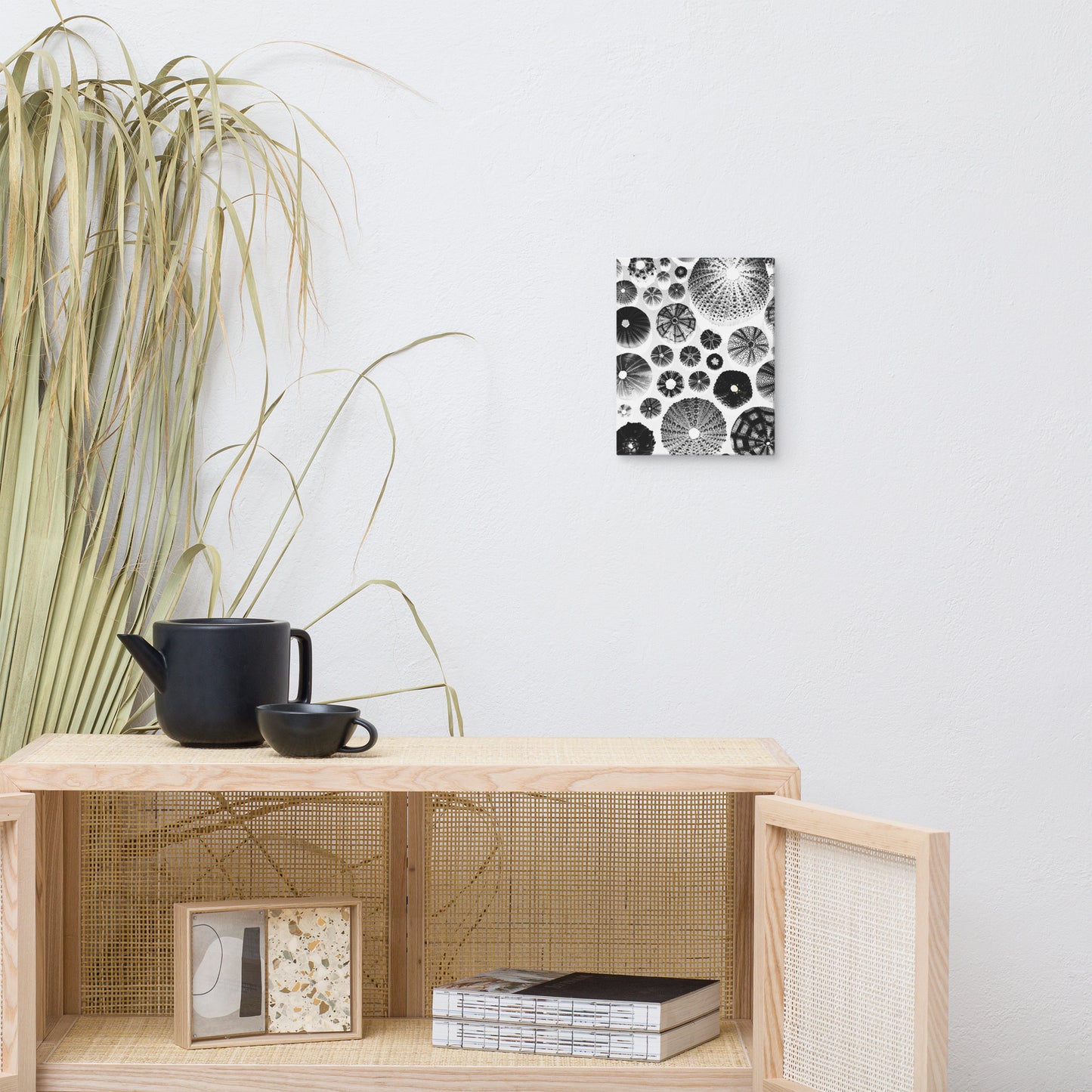 Urchin Glad You Came? - Canvas Art (White Background)