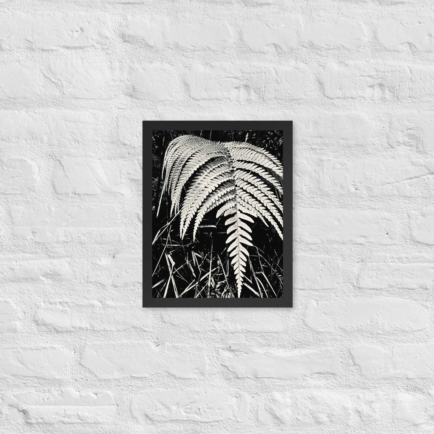 Fernology - Framed Art