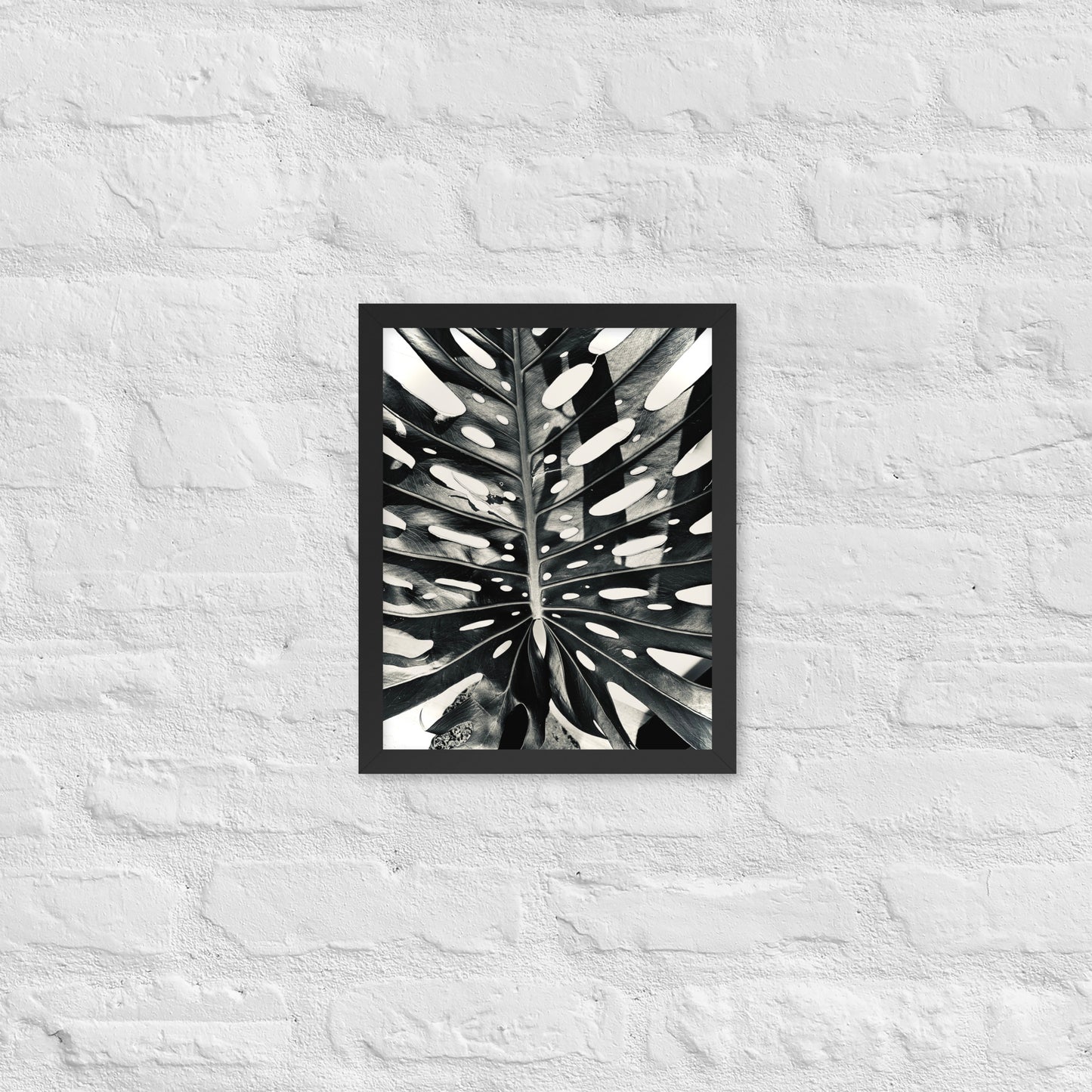 Monstera Madness - Framed Art