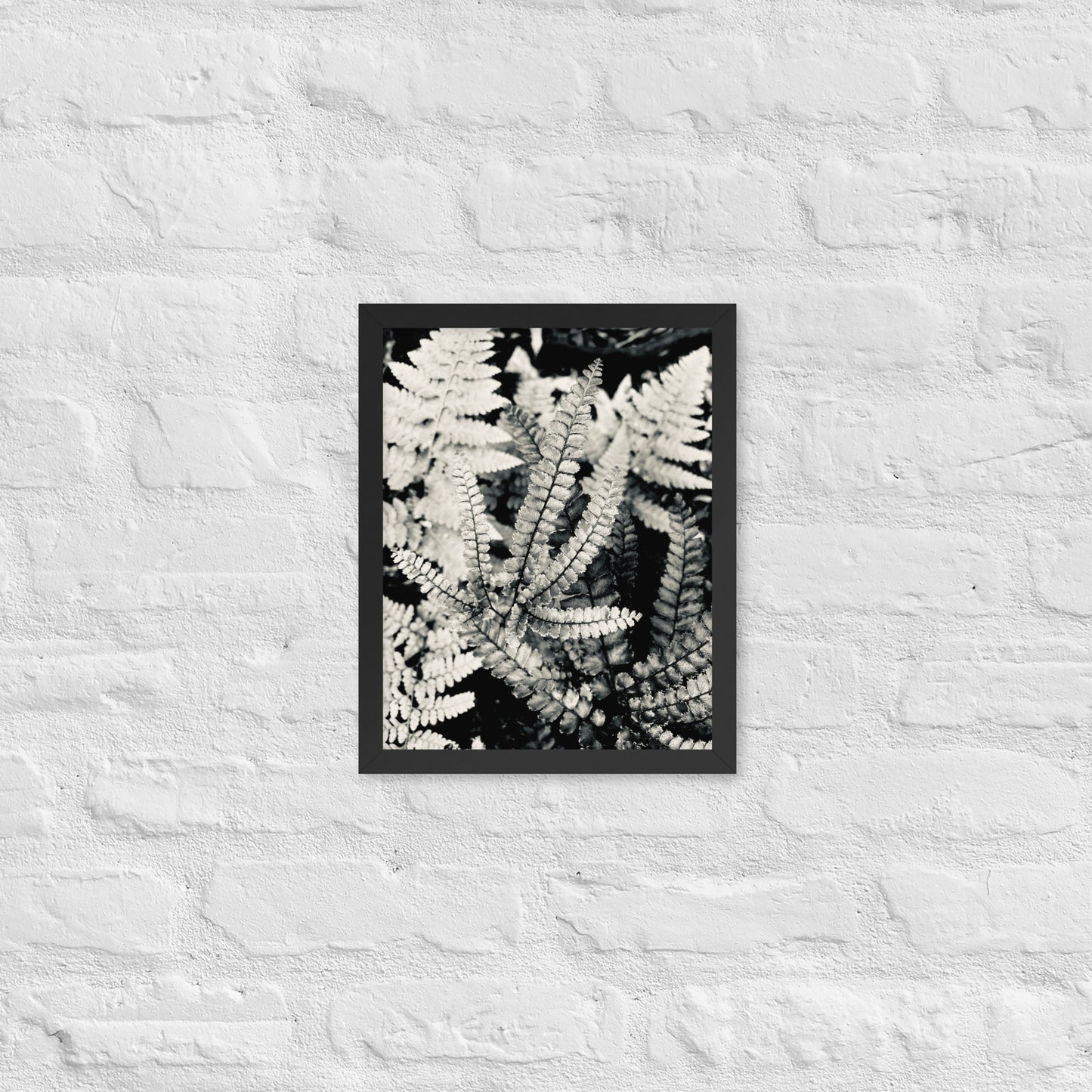 Volcano Fern - Framed Art