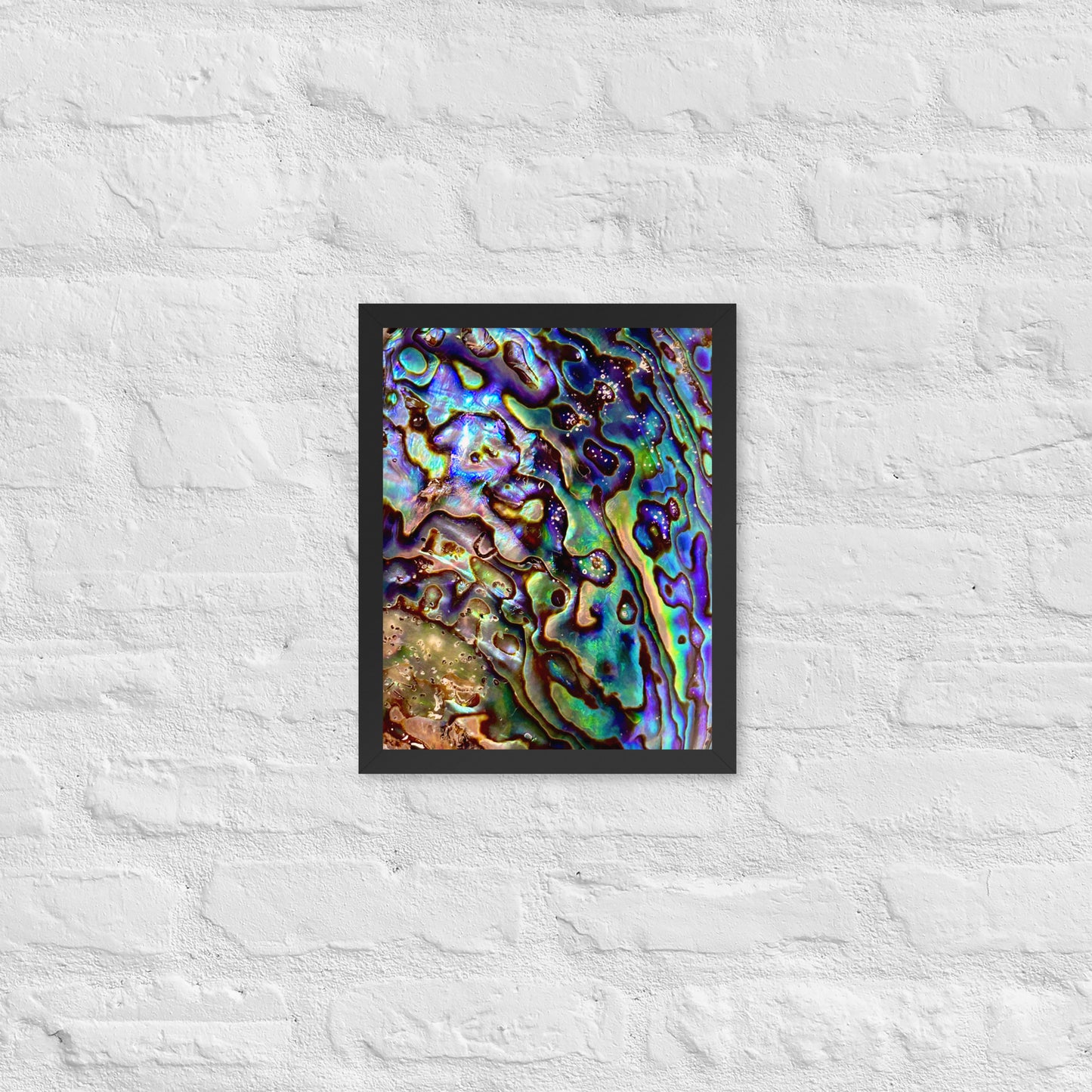 Abalone Dream - Framed Print