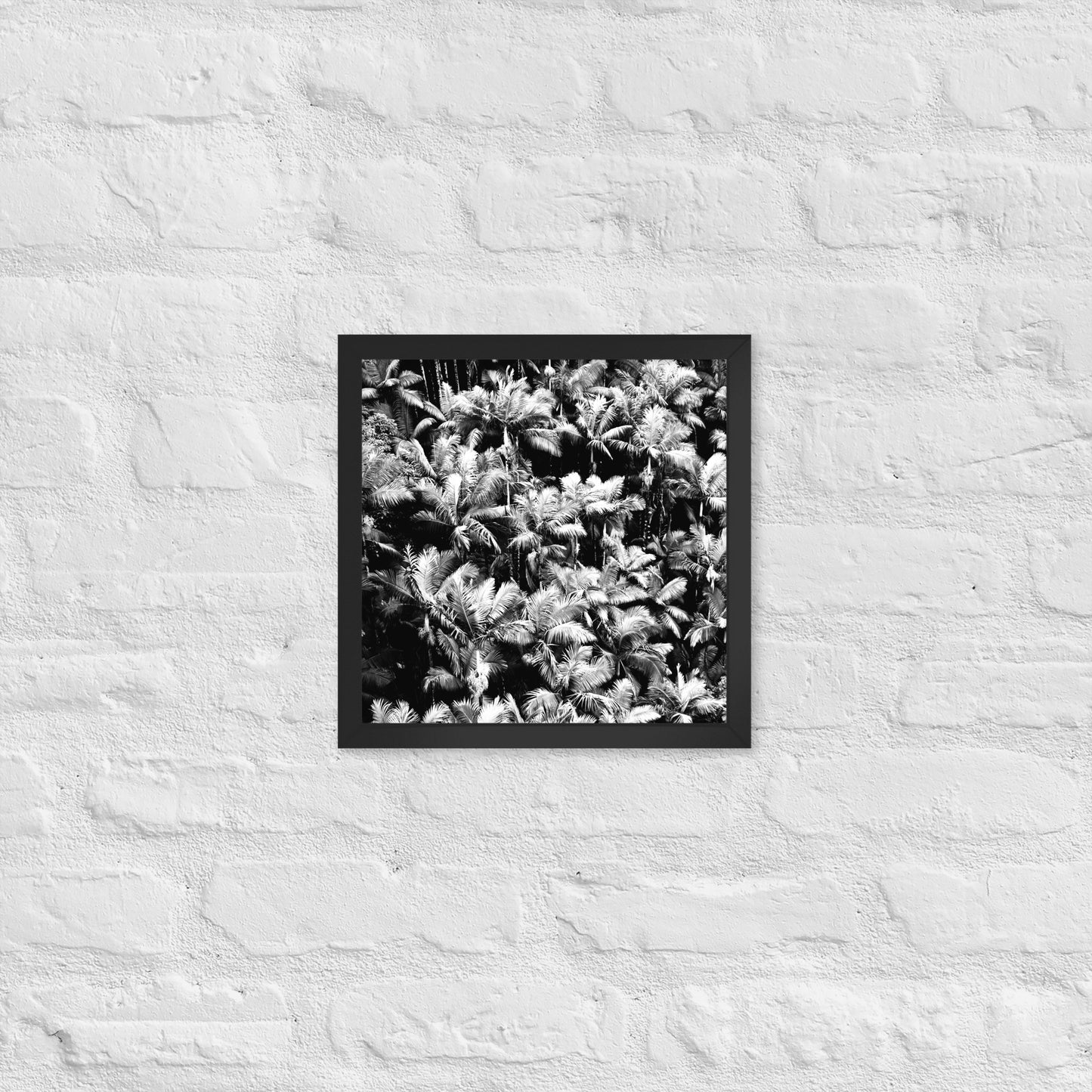 Palm Paradise - Framed Art