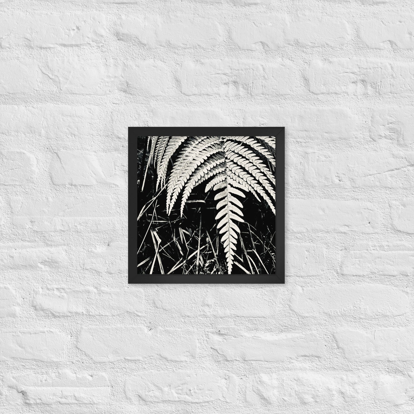 Fernology - Framed Art