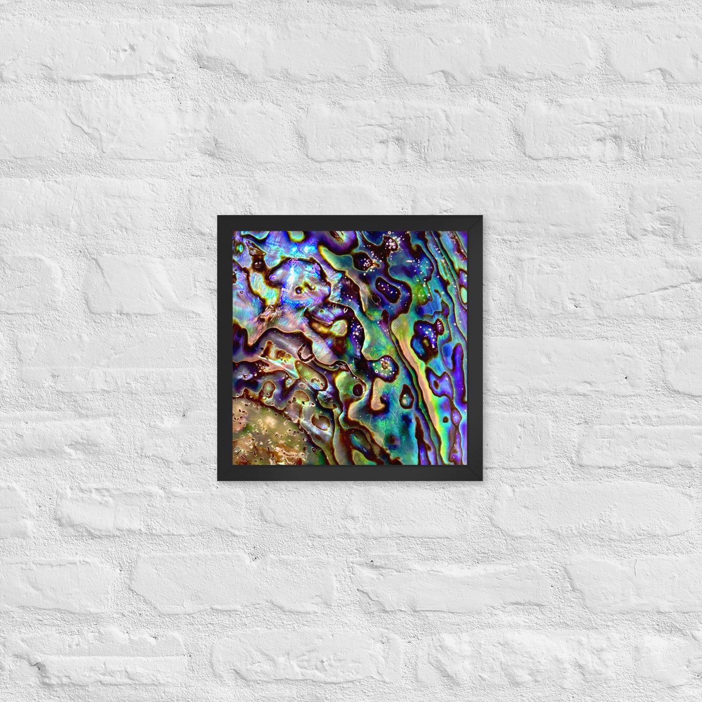 Abalone Dream - Framed Print