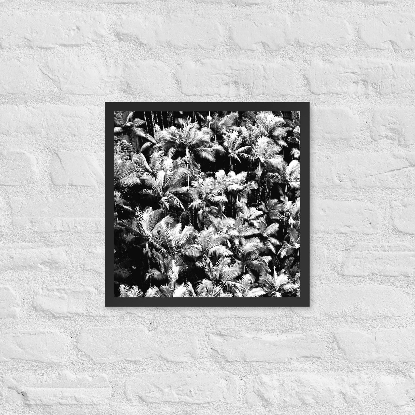 Palm Paradise - Framed Art