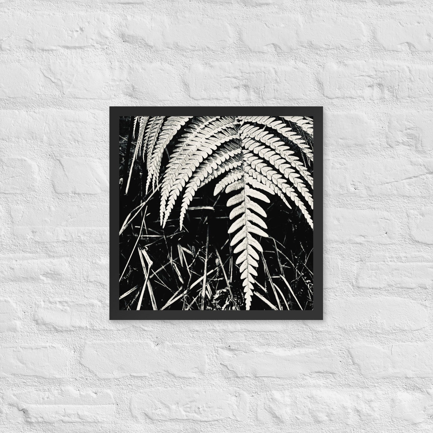 Fernology - Framed Art