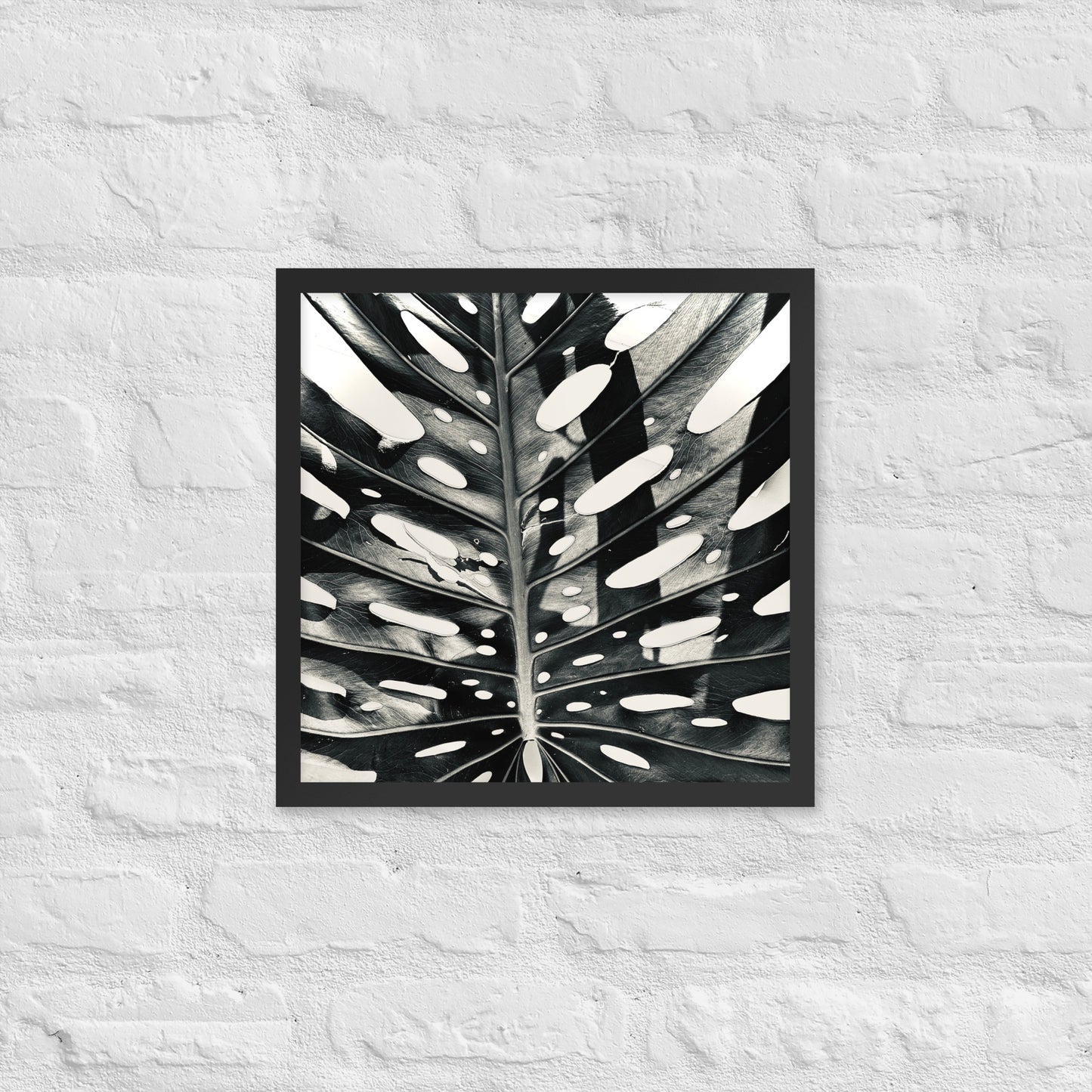 Monstera Madness - Framed Art