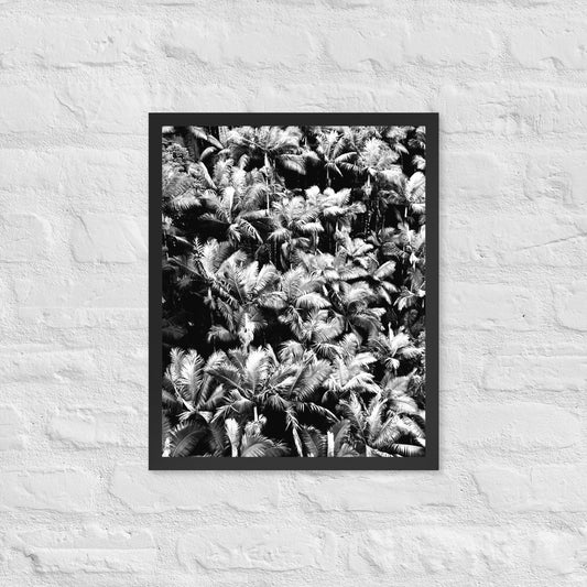 Palm Paradise - Framed Art