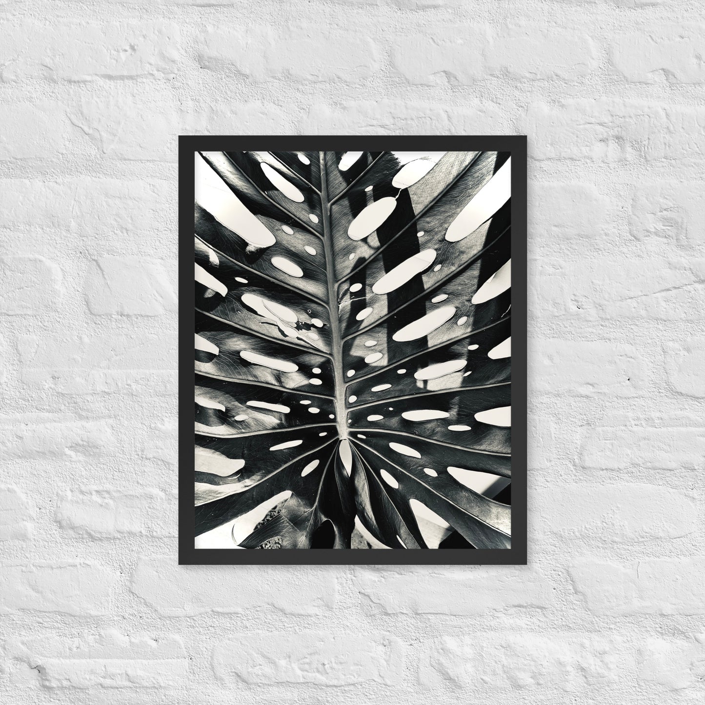 Monstera Madness - Framed Art