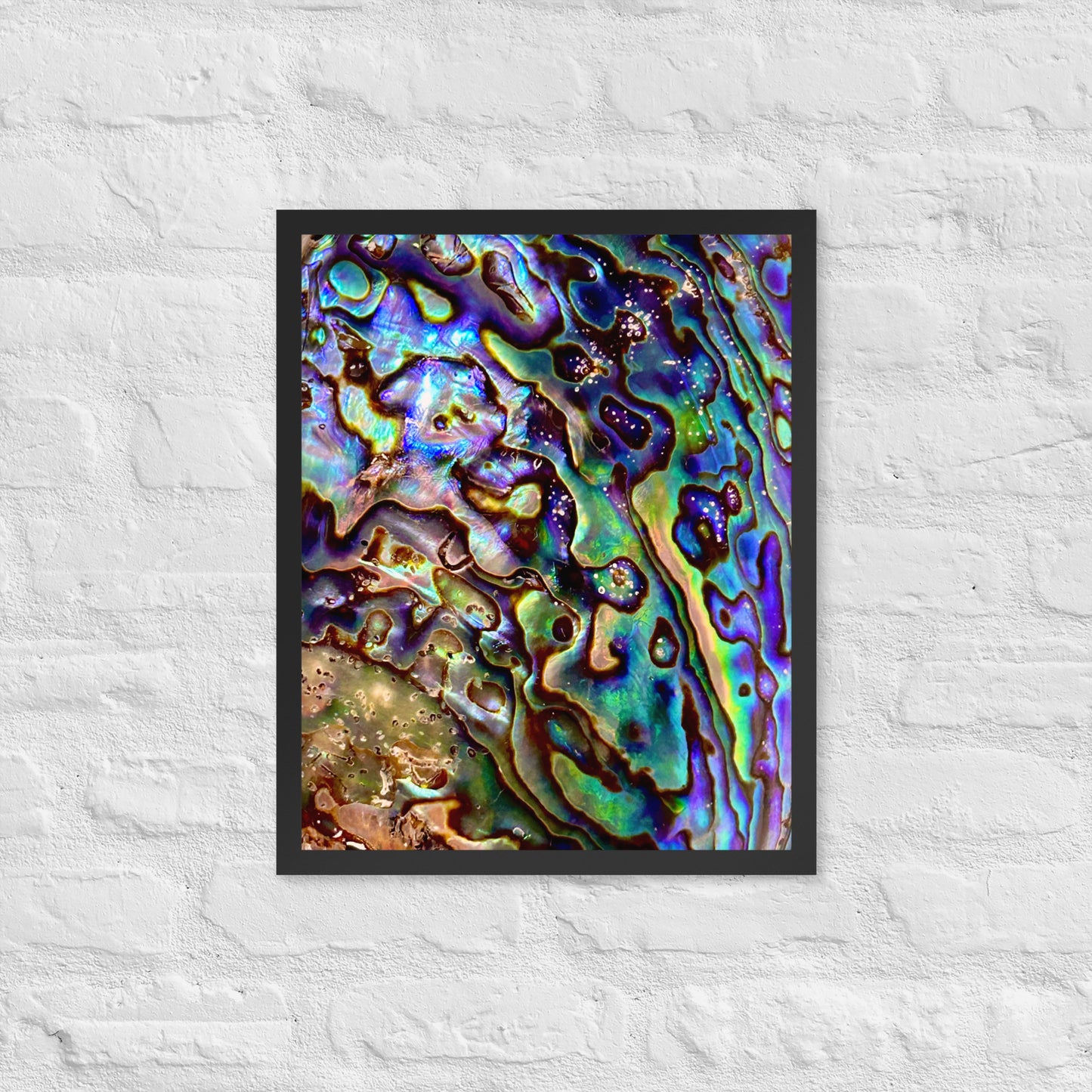 Abalone Dream - Framed Print