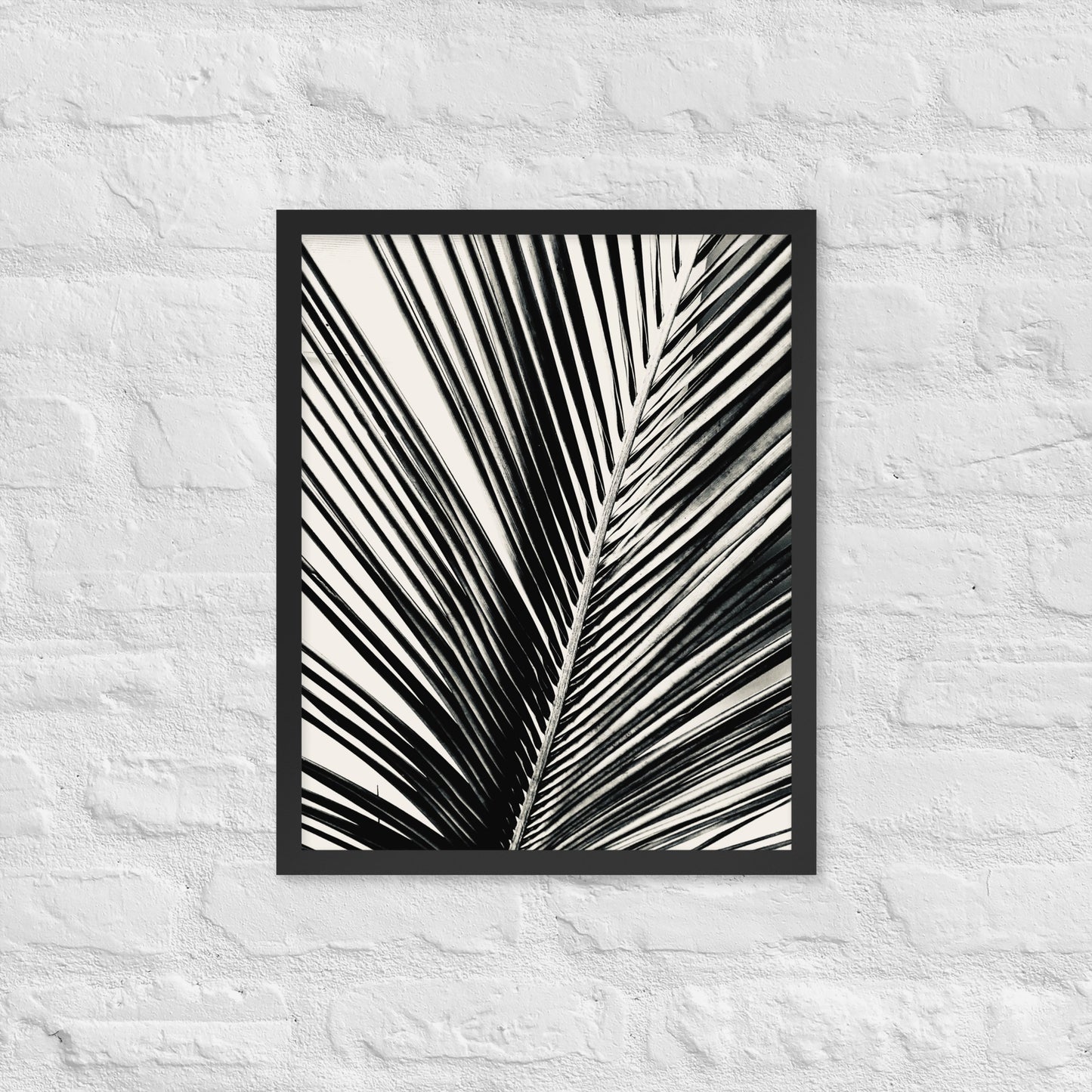 Pondering Palm - Framed Print