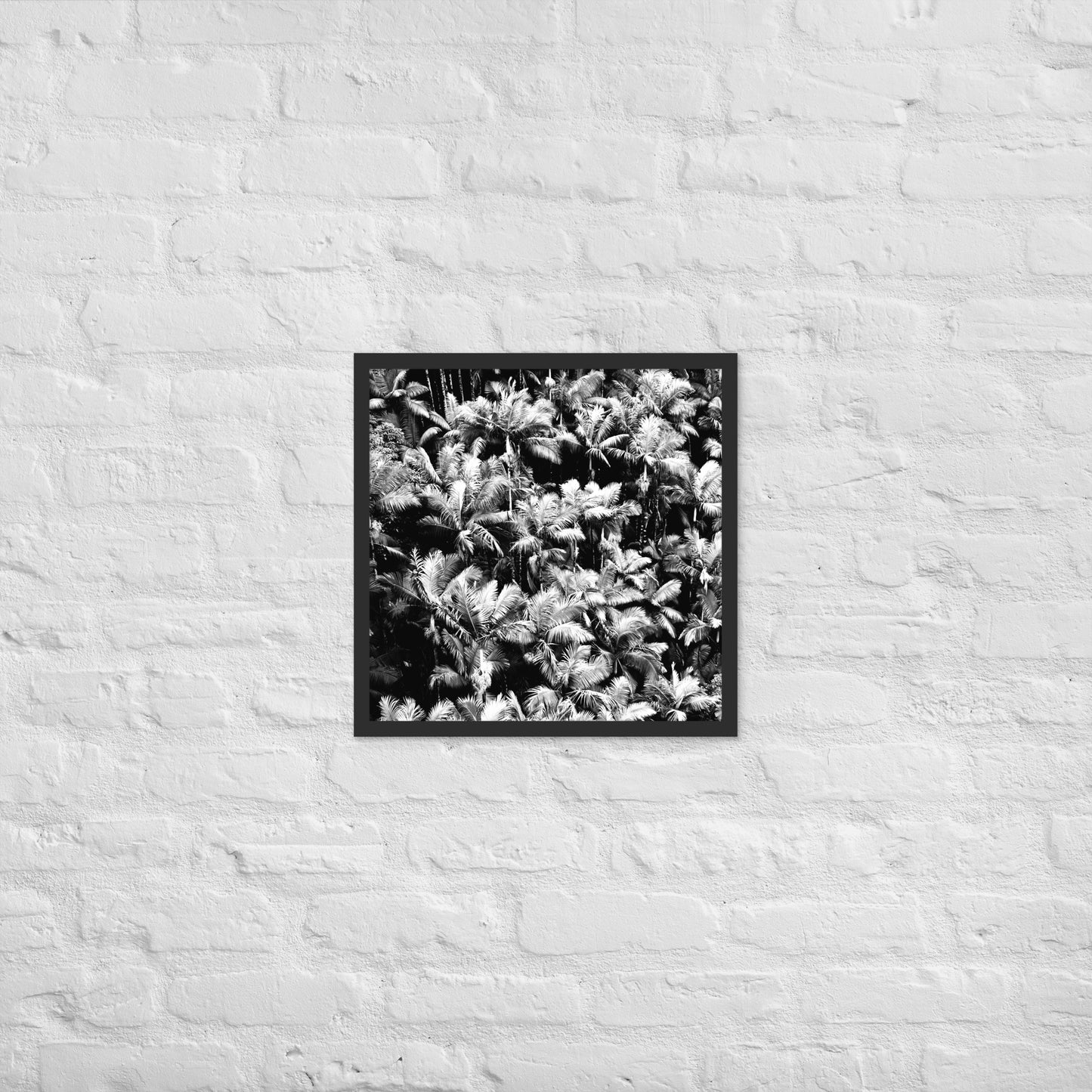 Palm Paradise - Framed Art