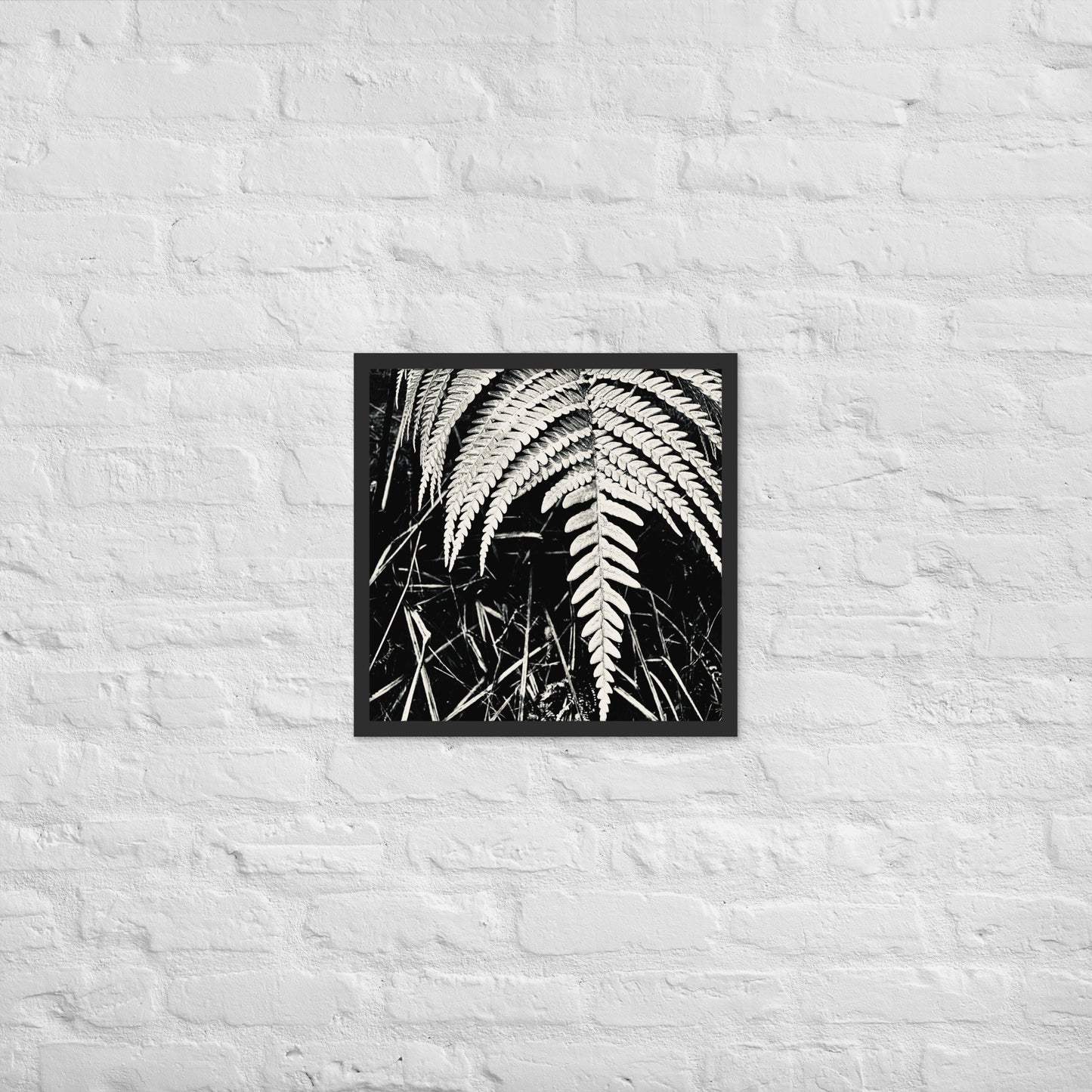 Fernology - Framed Art