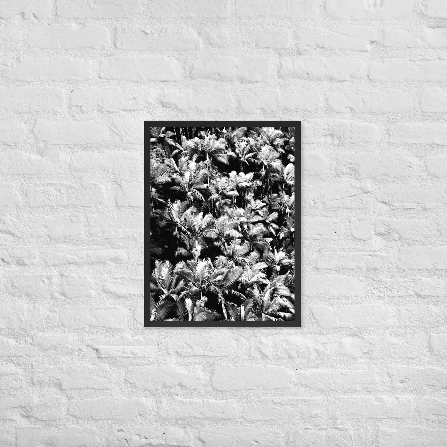 Palm Paradise - Framed Art