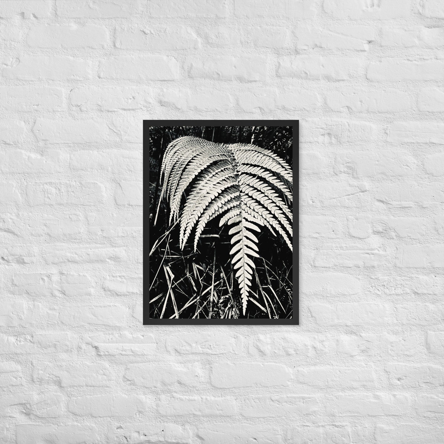 Fernology - Framed Art